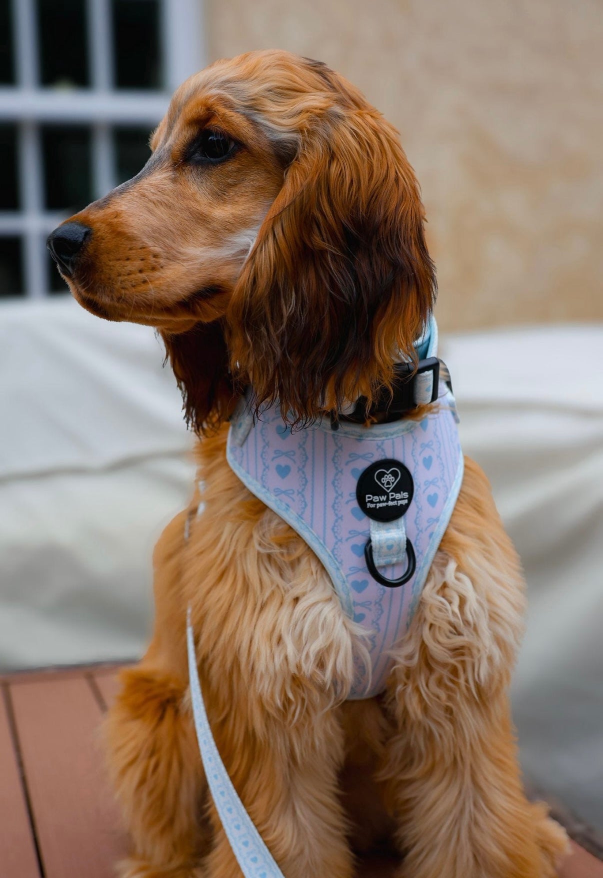 Bow In Love Harness