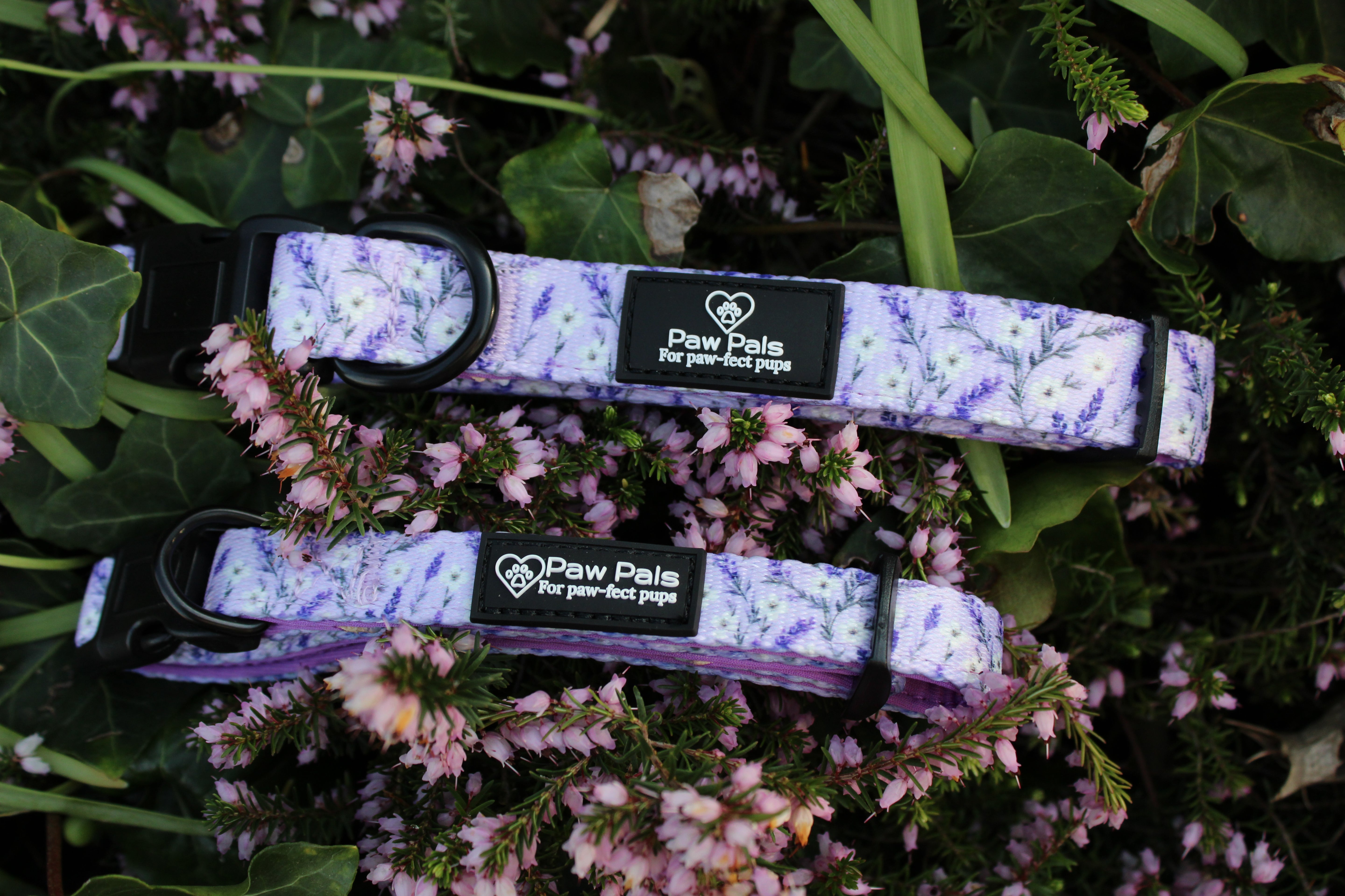 Lavender Fields Collar
