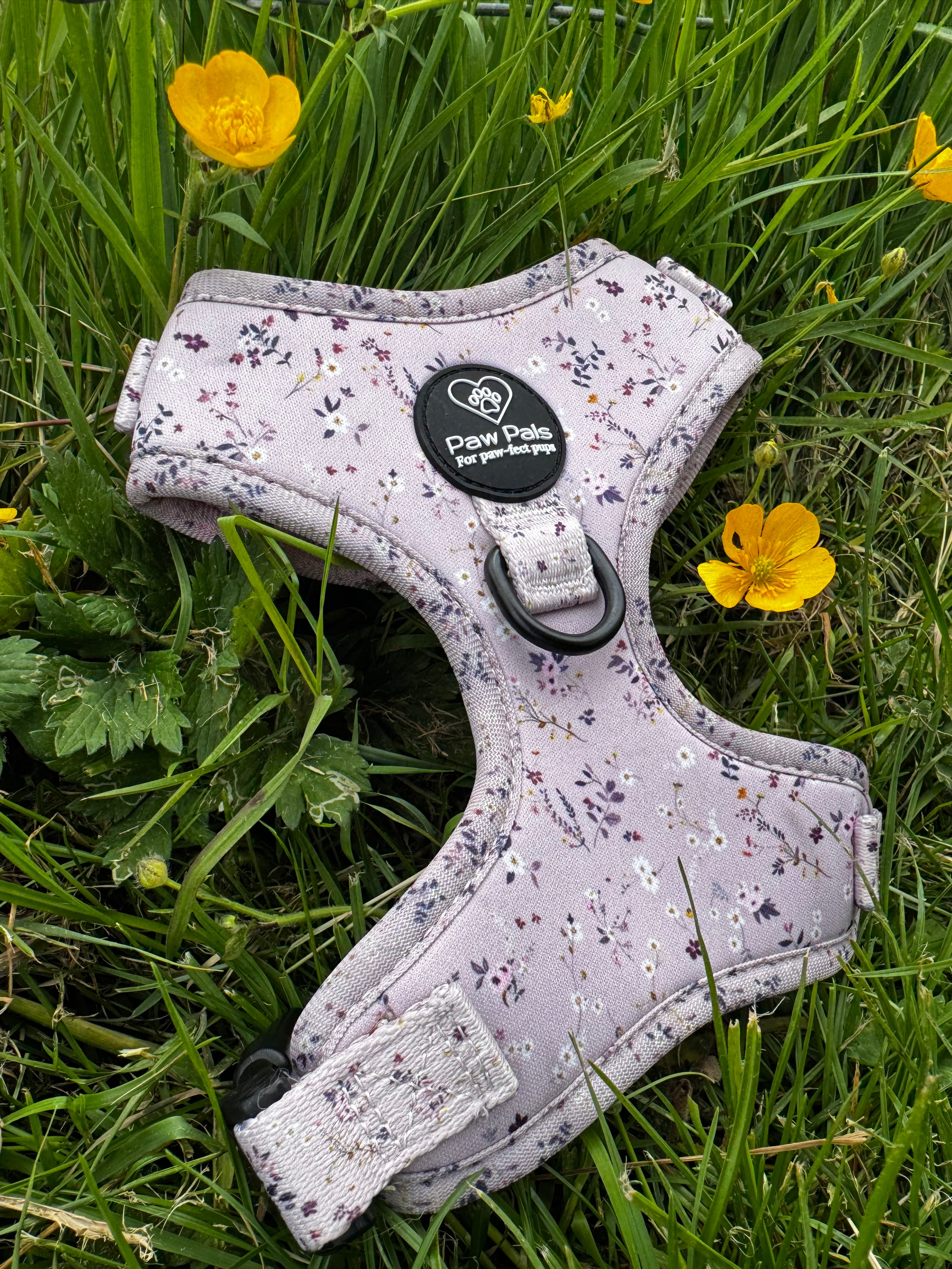 Blush & Bloom Harness