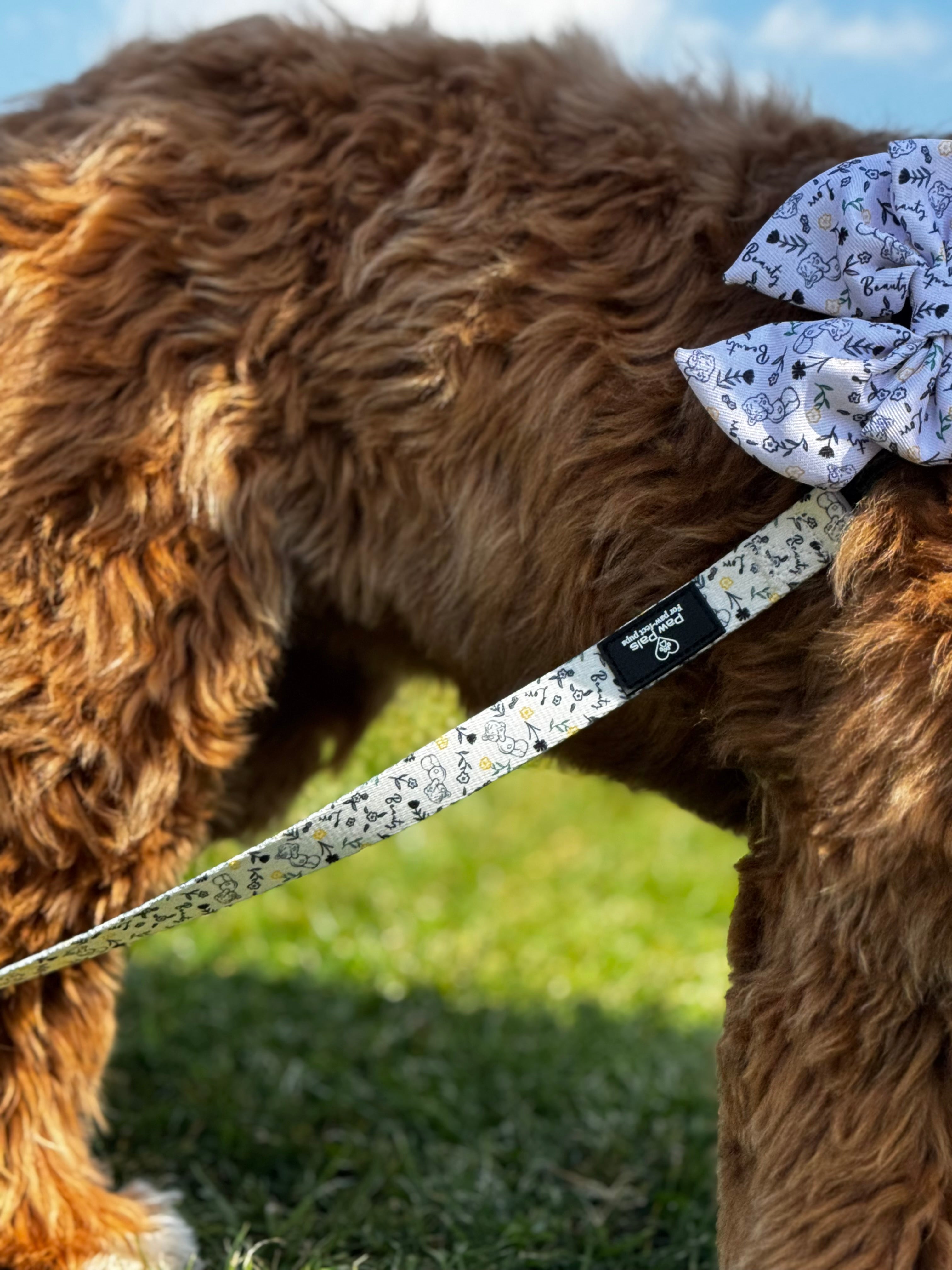Tatty Teddy Springs Leash