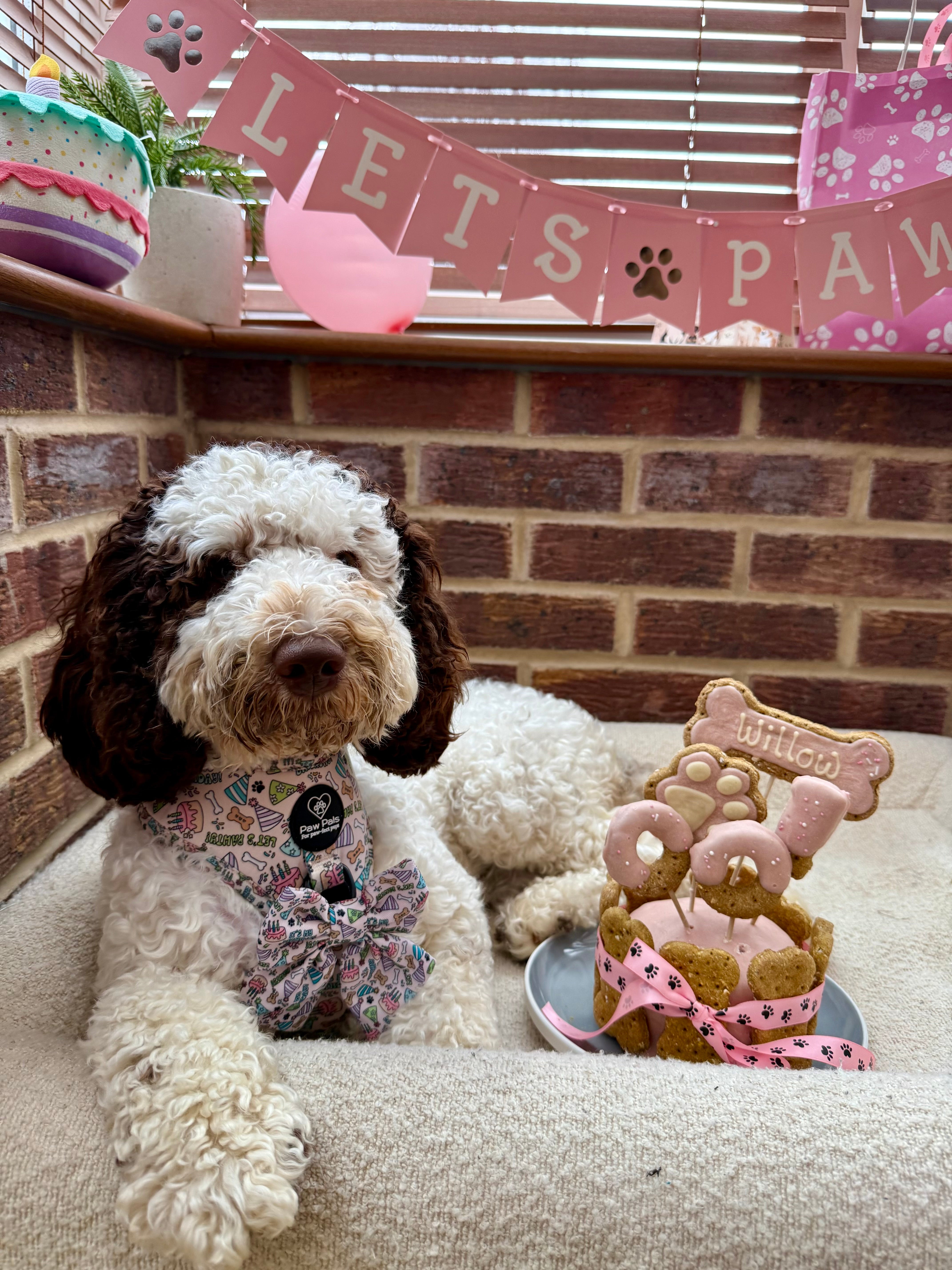 Birthday Pup Sailor Bow