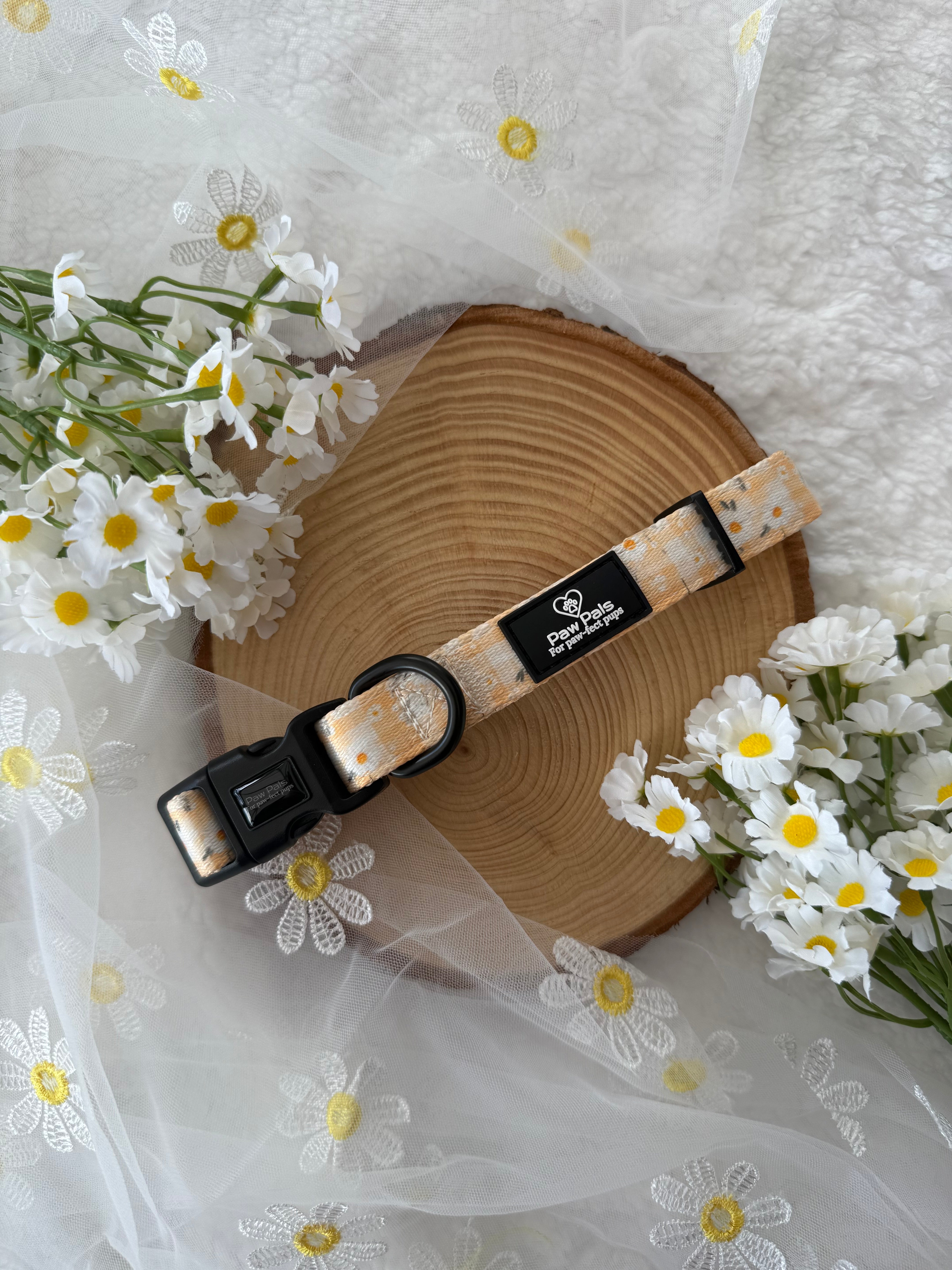 Daisy Dreams Collar