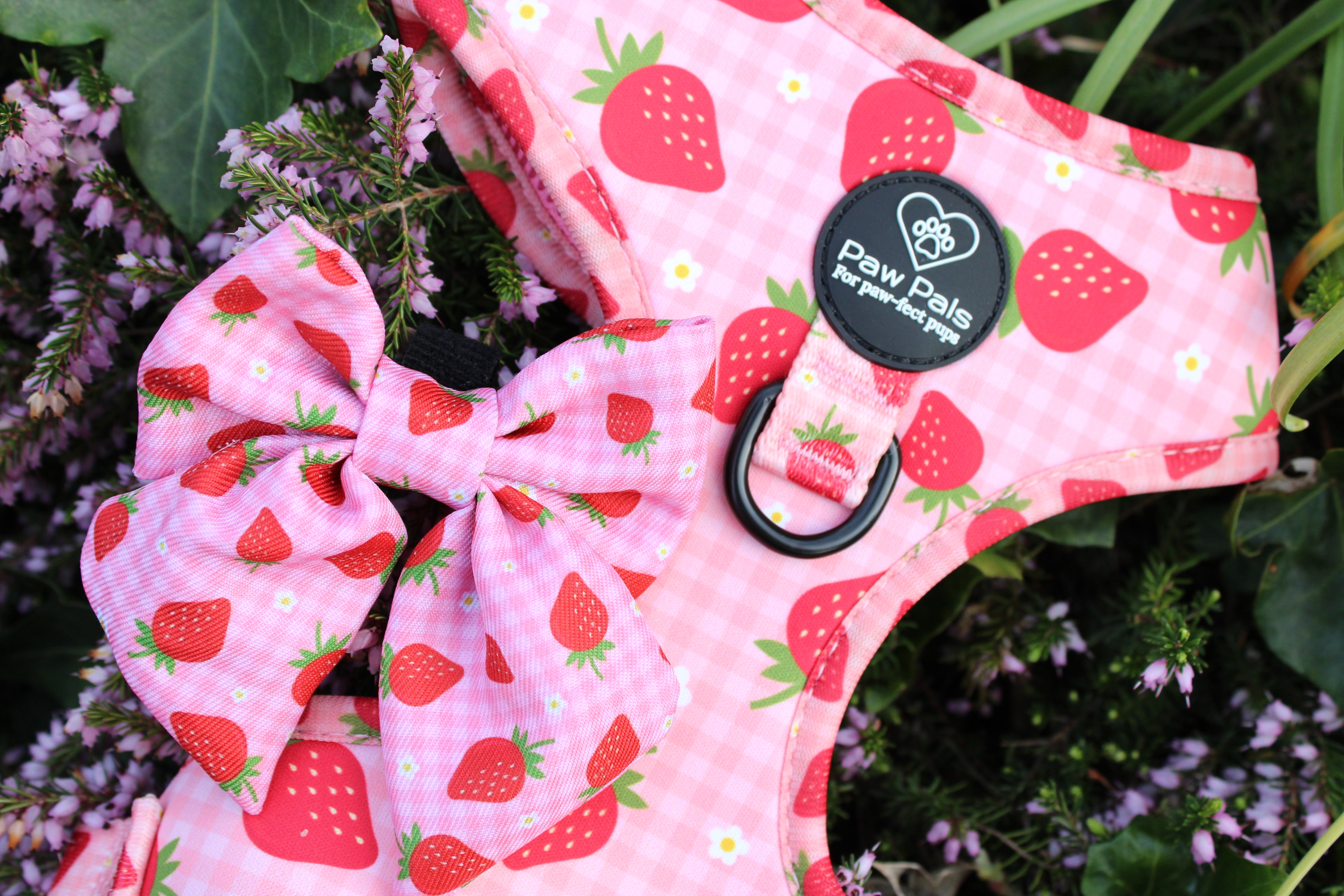 Strawberry Dreams Sailor Bow