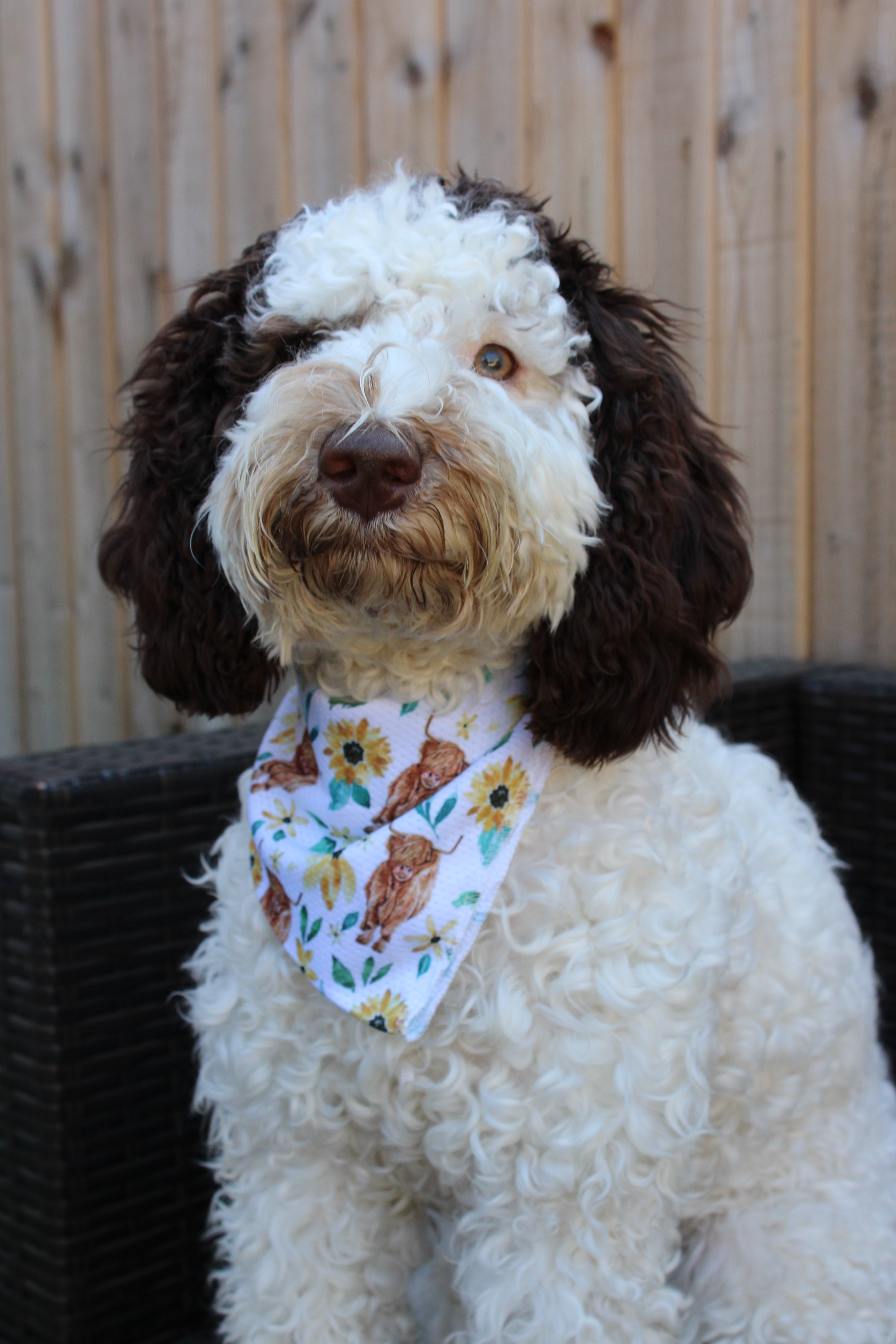 Something Moo Bandana