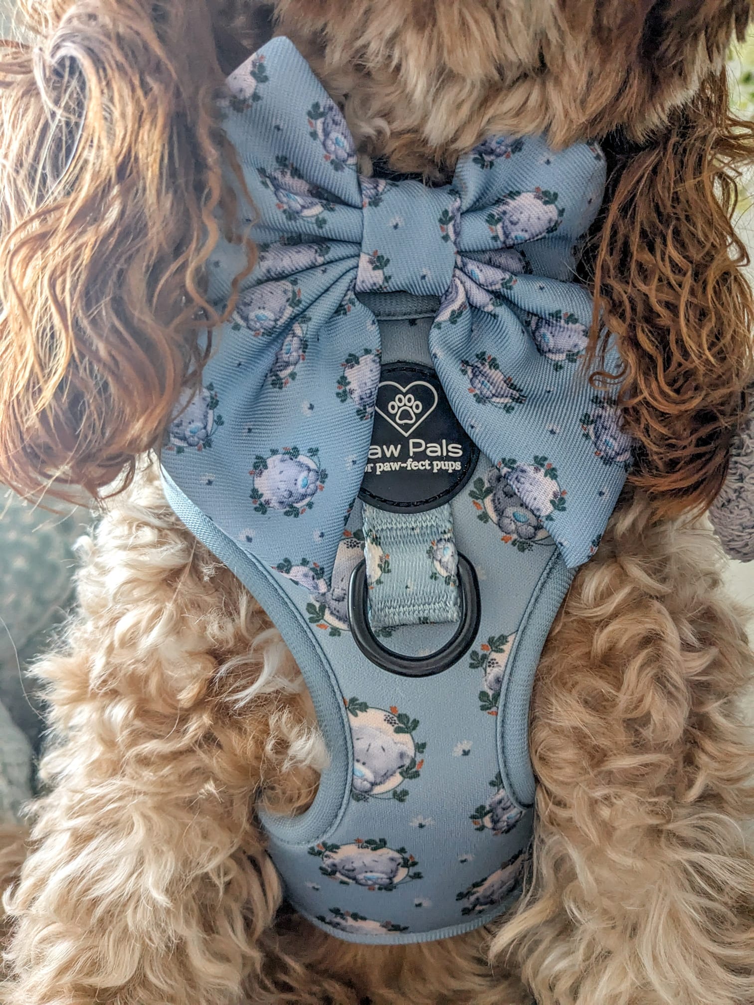 Tatty Teddy Gardens Harness