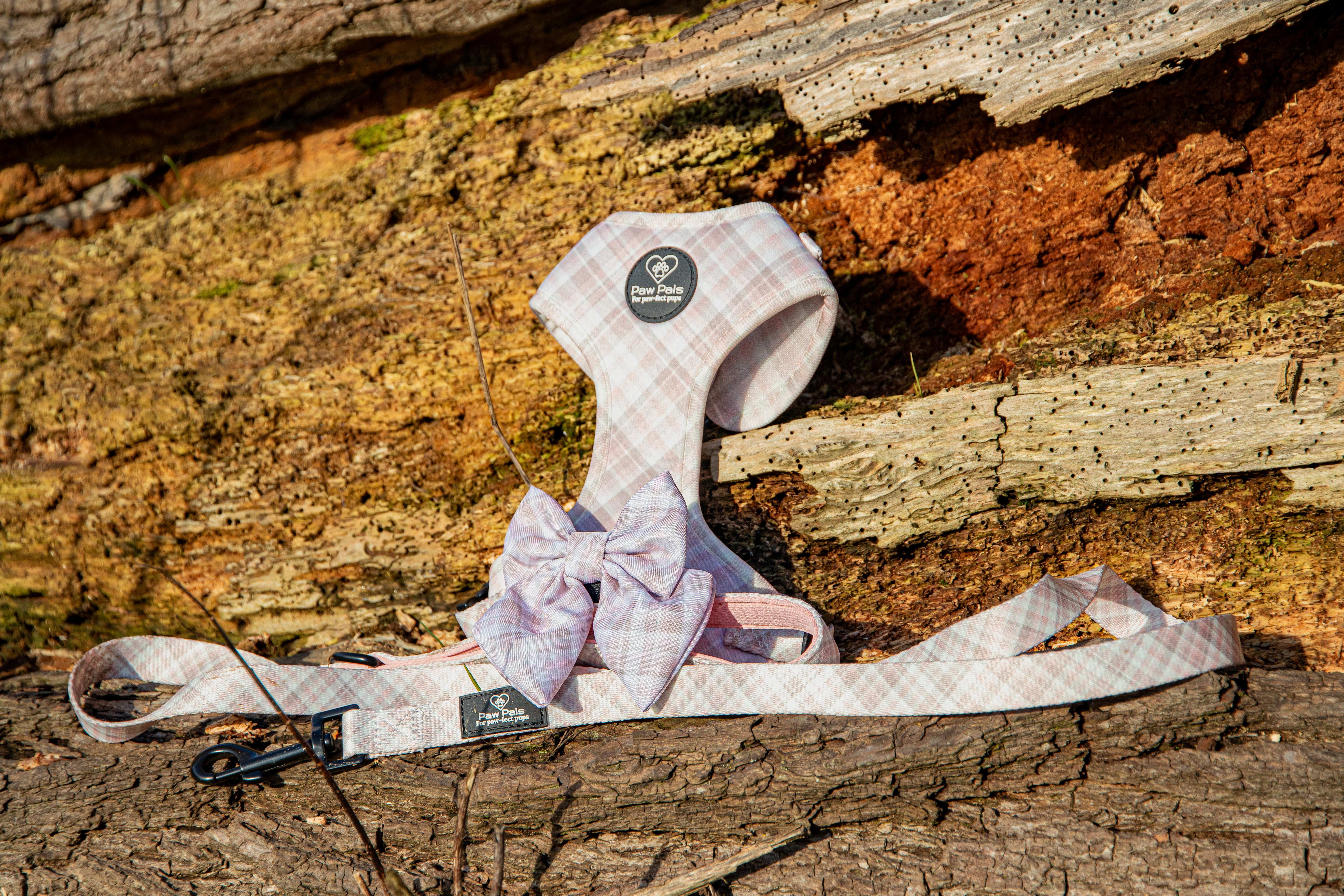 Pretty In Plaid Leash