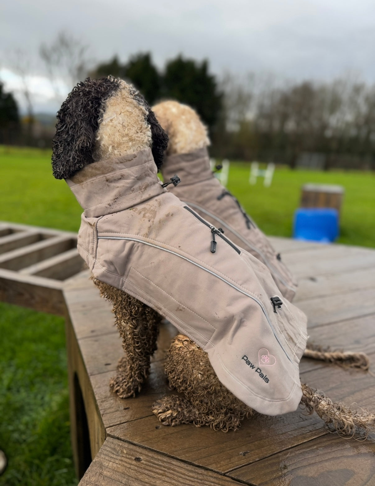 Pawpals Triple Shield Rain Coat - Grey