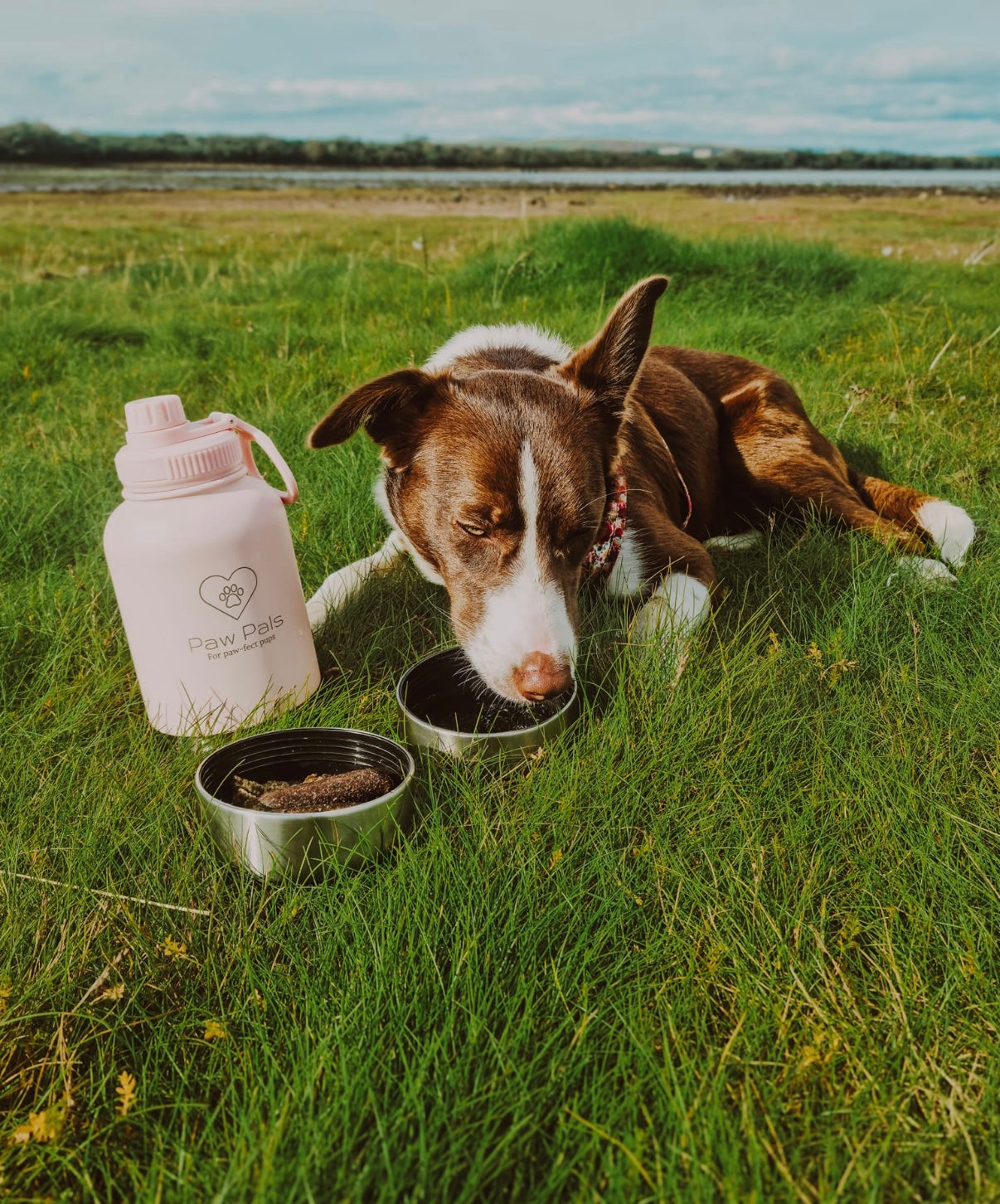 Pink Walkies Bottle