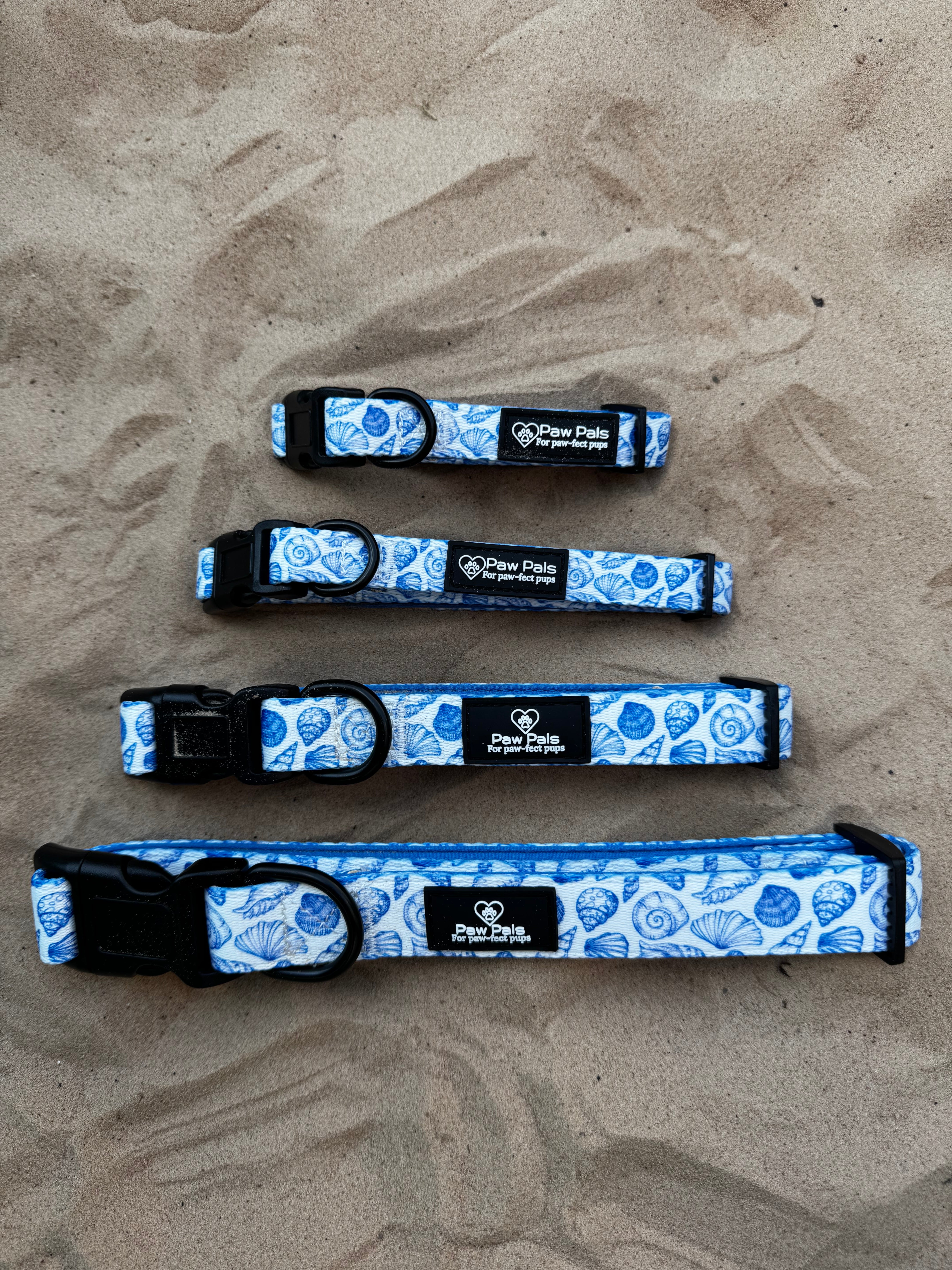 Ocean Shells Collar