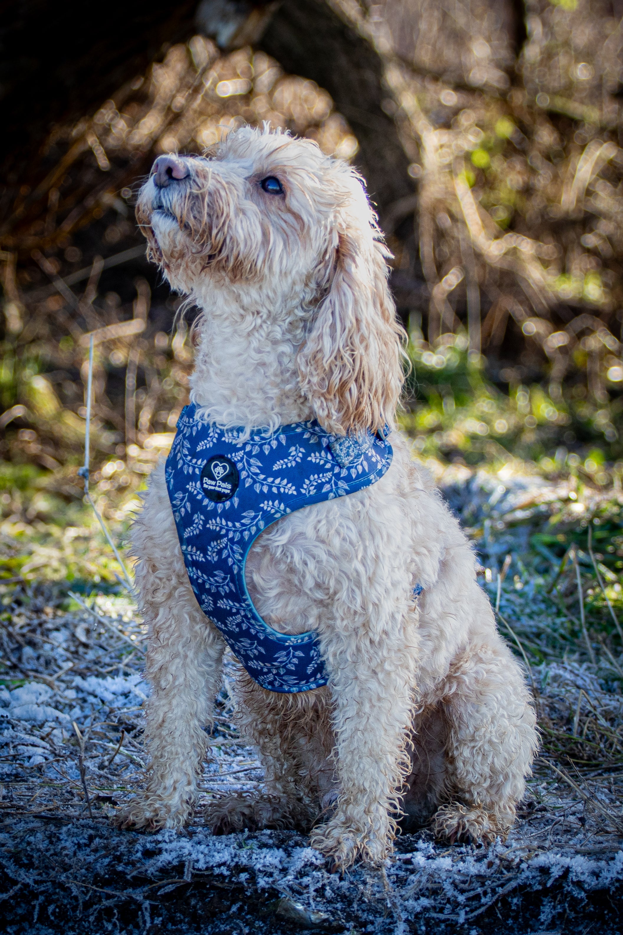 Navy Springs Harness