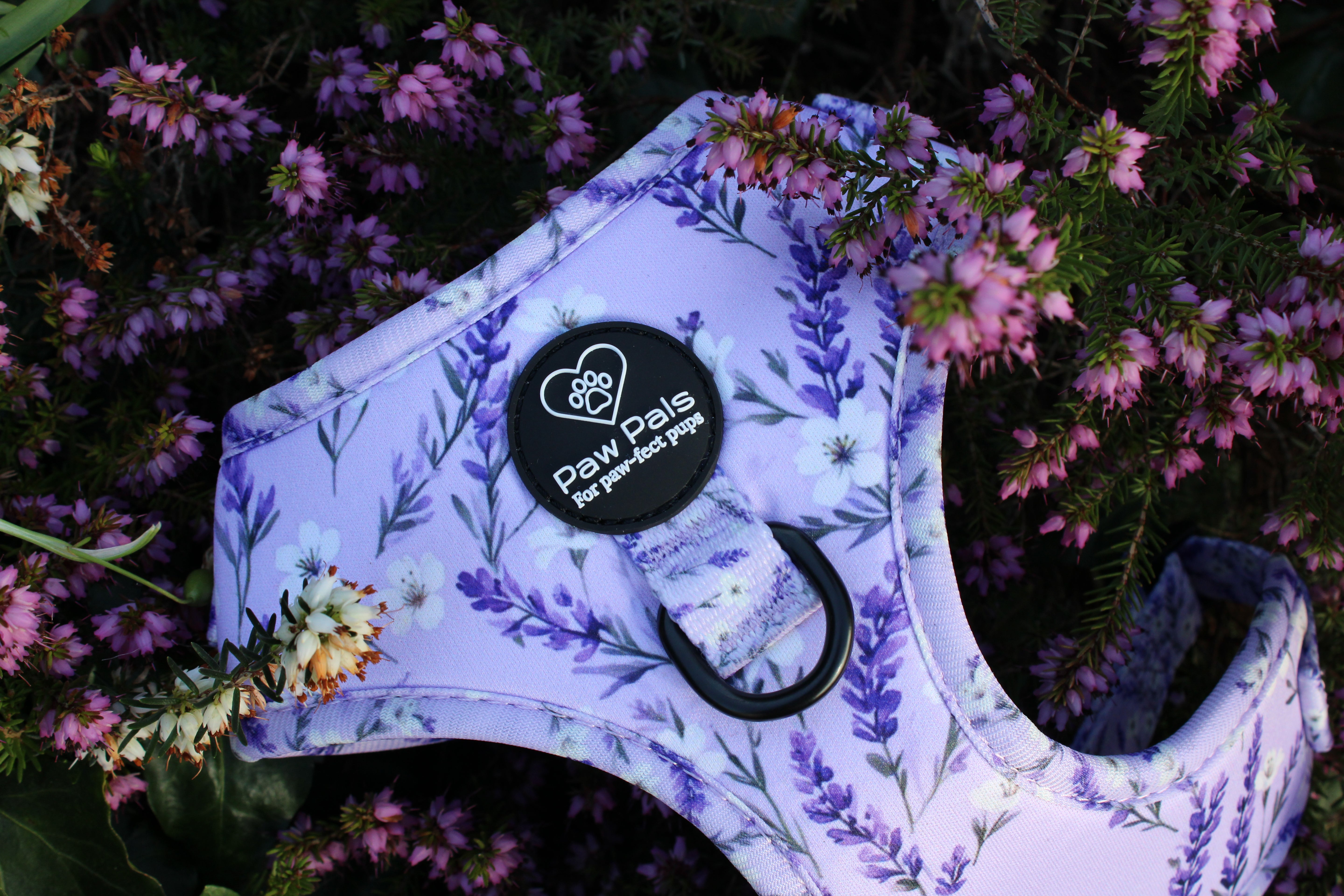 Lavender Fields Harness