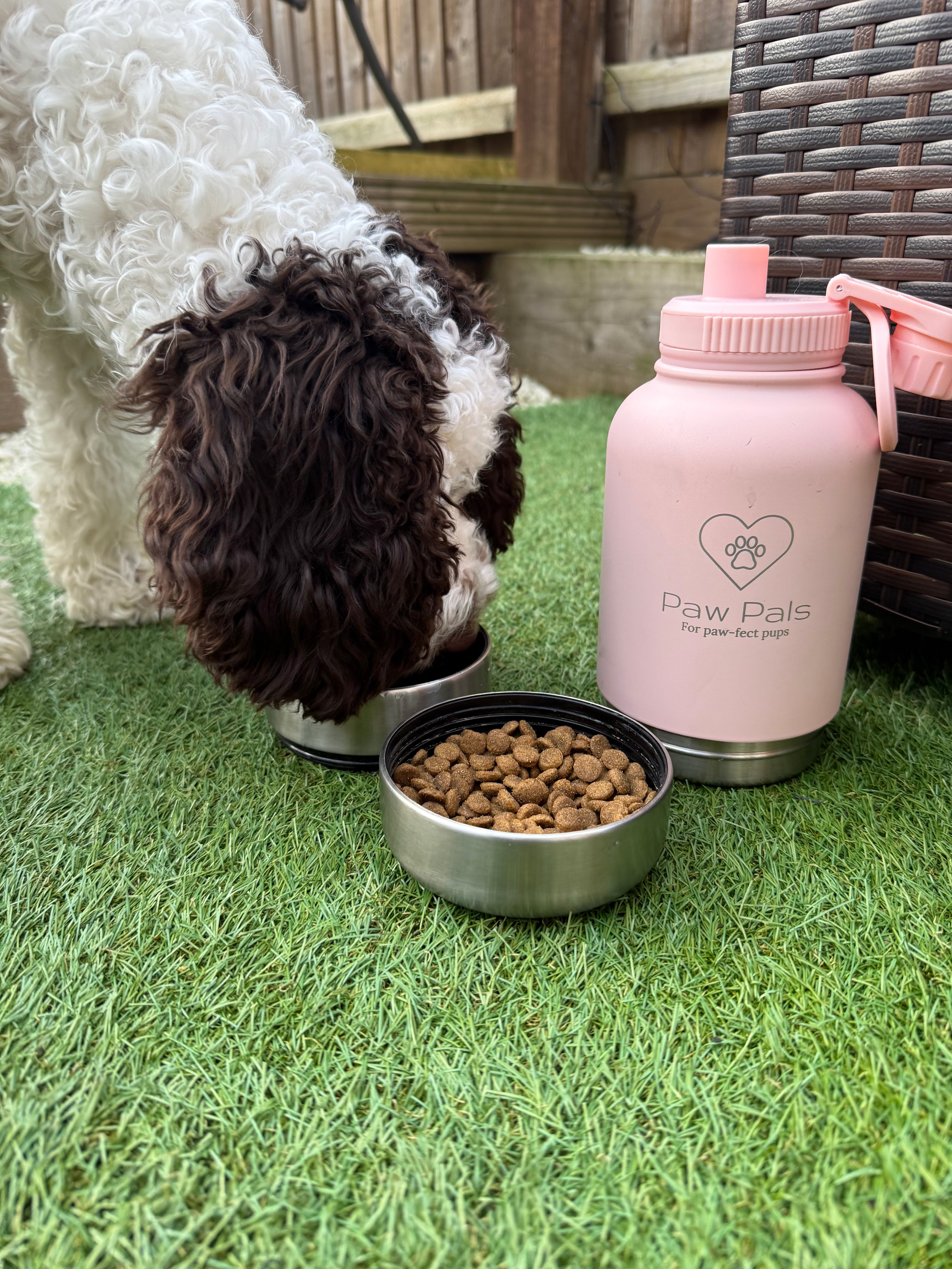 Pink Walkies Bottle