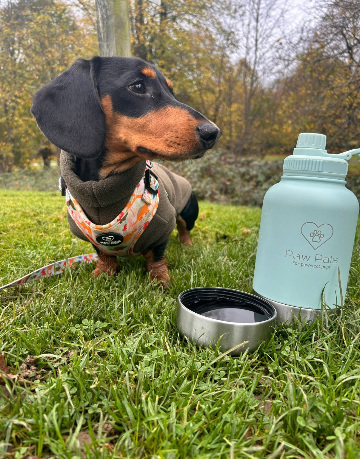 Blue Walkies Bottle