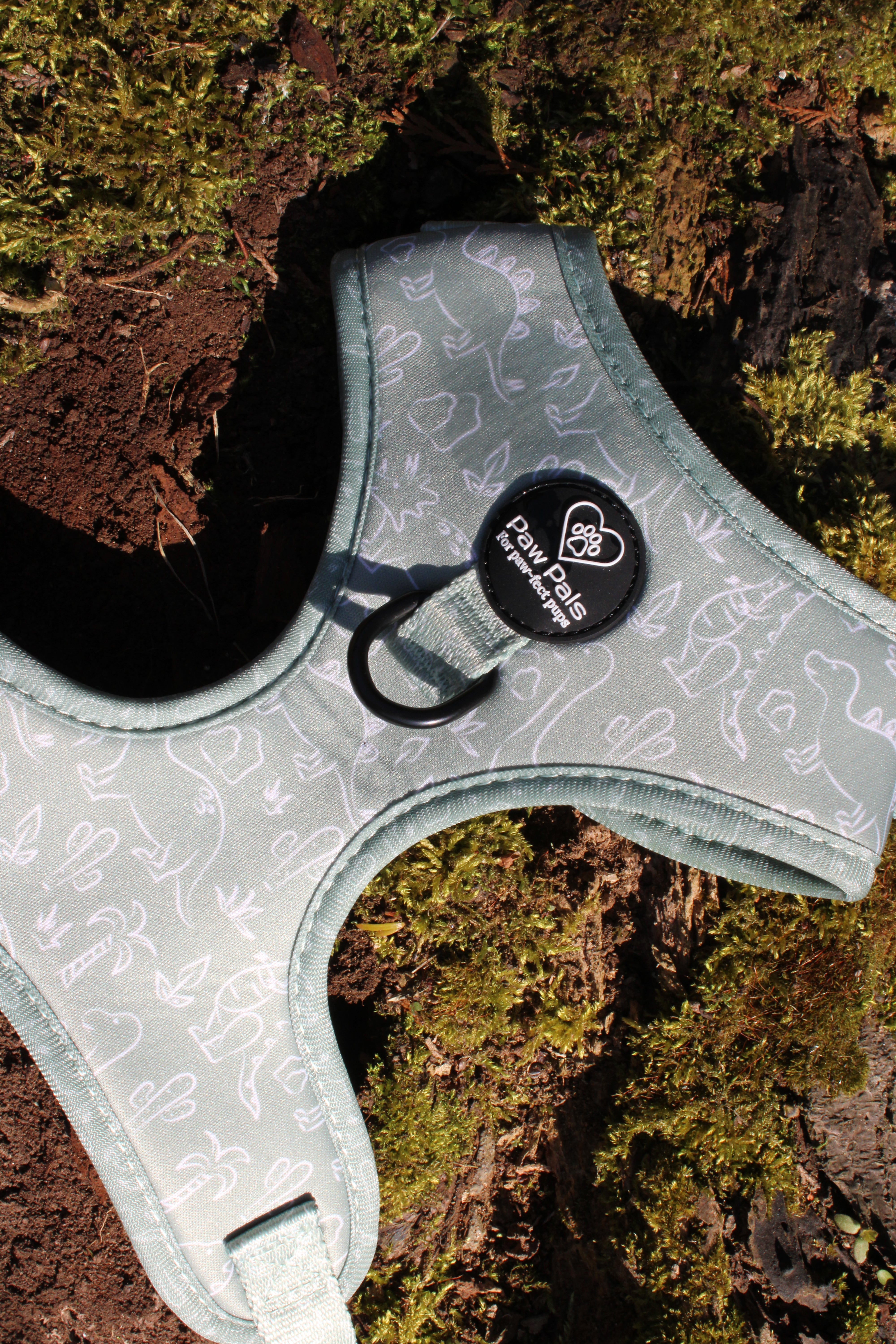 Dino Paws Harness