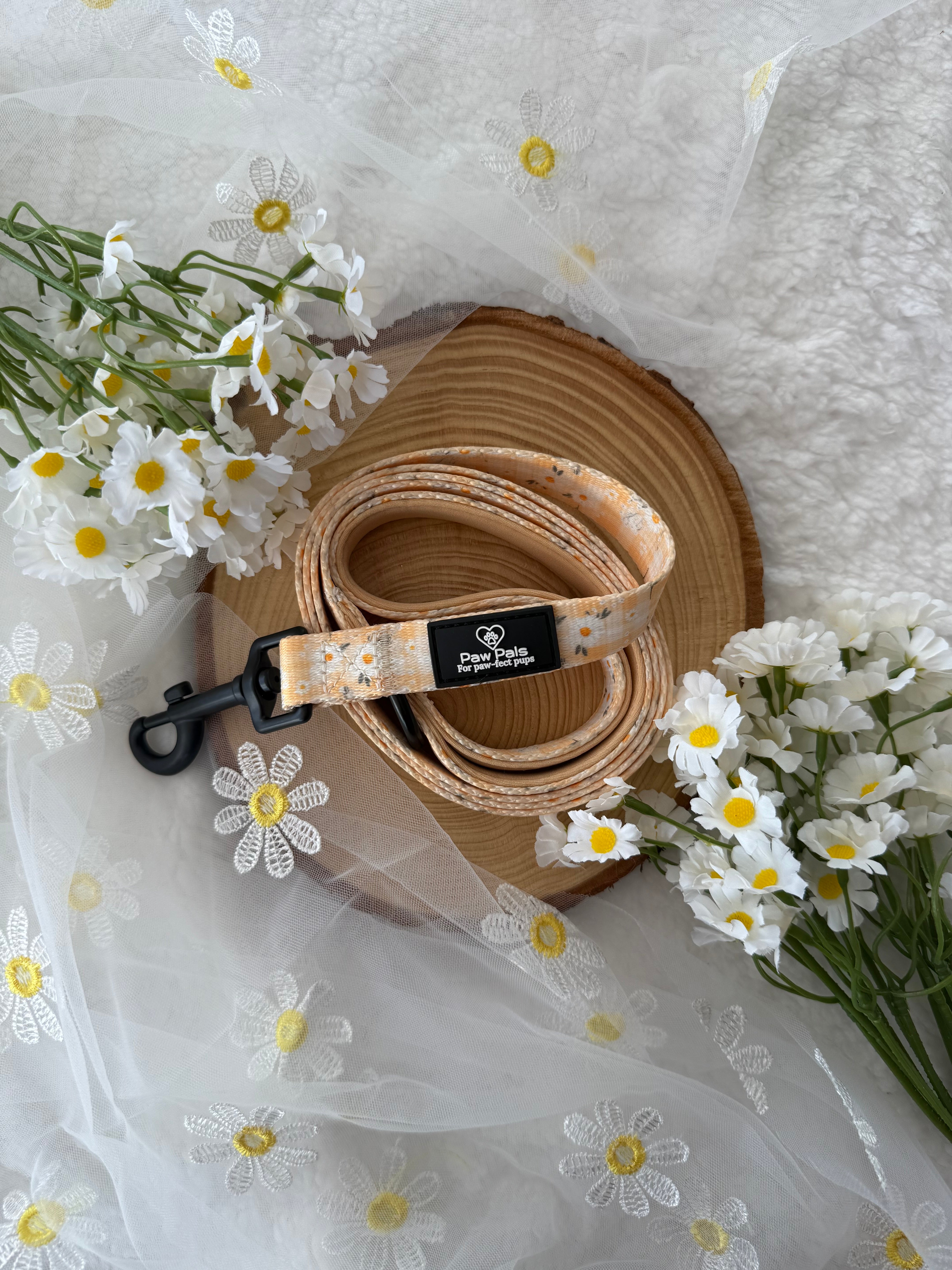 Daisy Dreams Leash