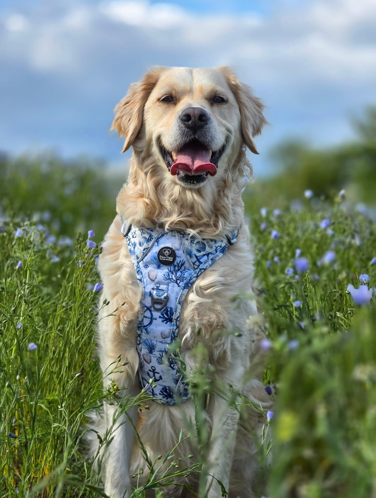 Pups Ahoy PawpalsPro Harness