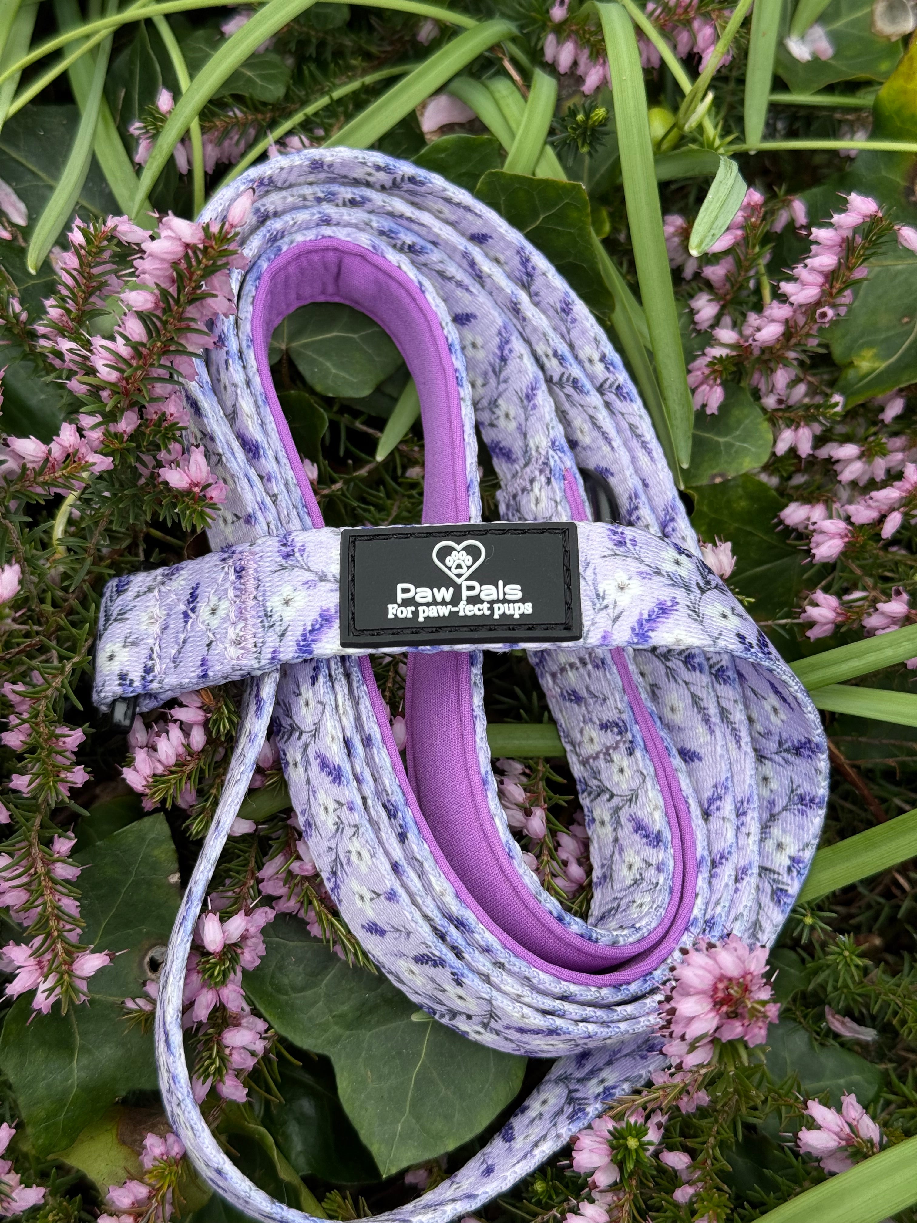 Lavender Fields Leash