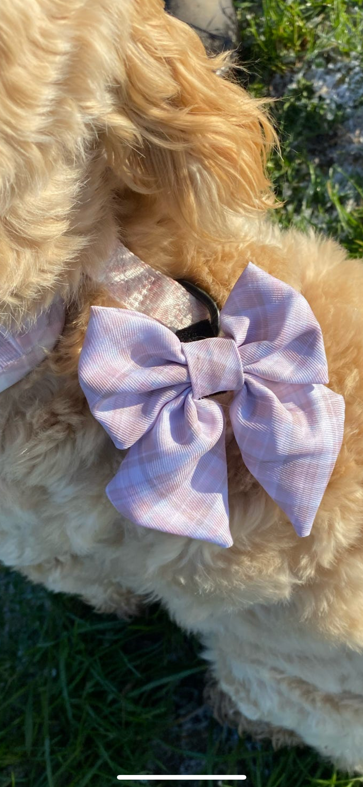 Pretty in Plaid Sailor Bow