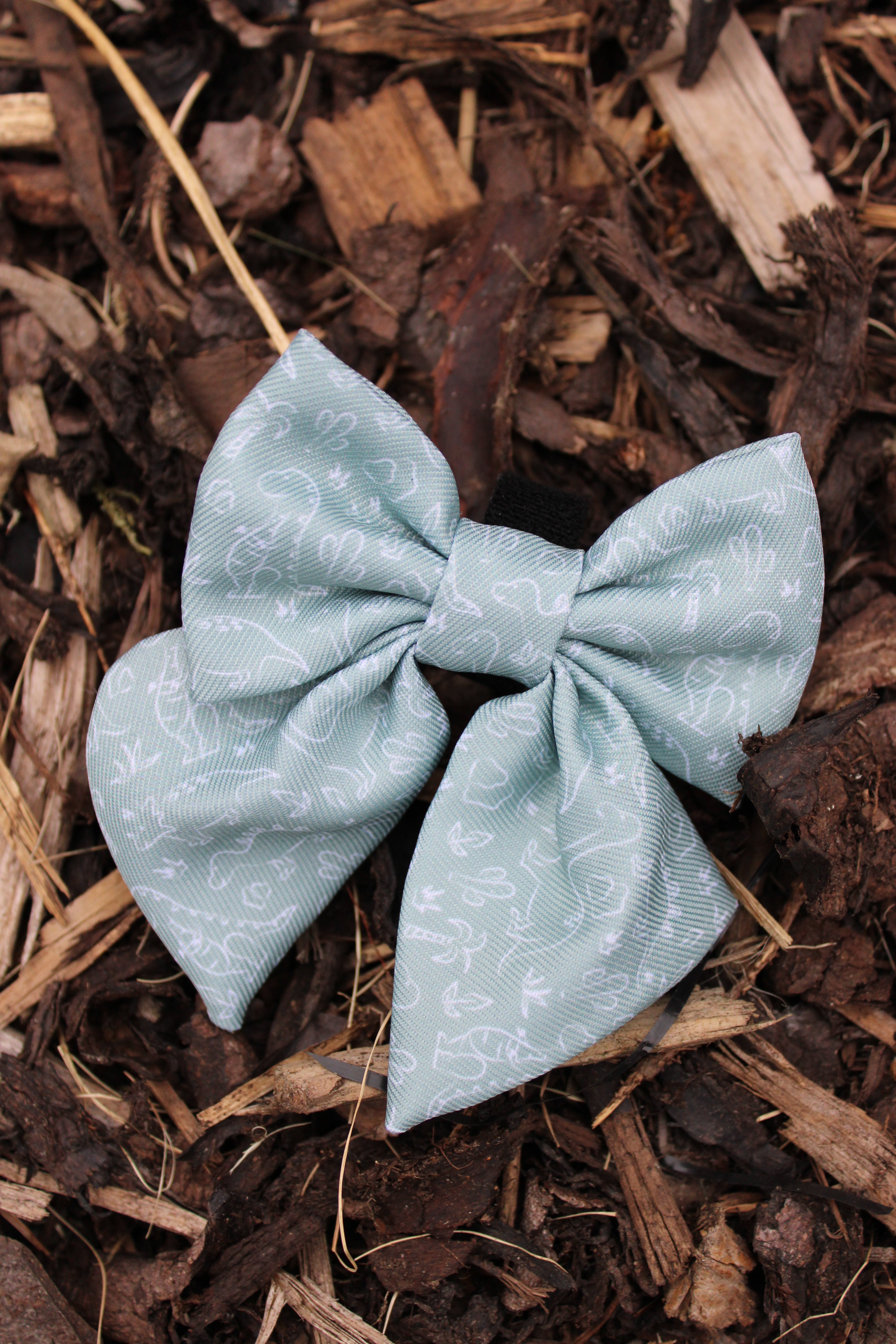 Dino Paws Sailor Bow