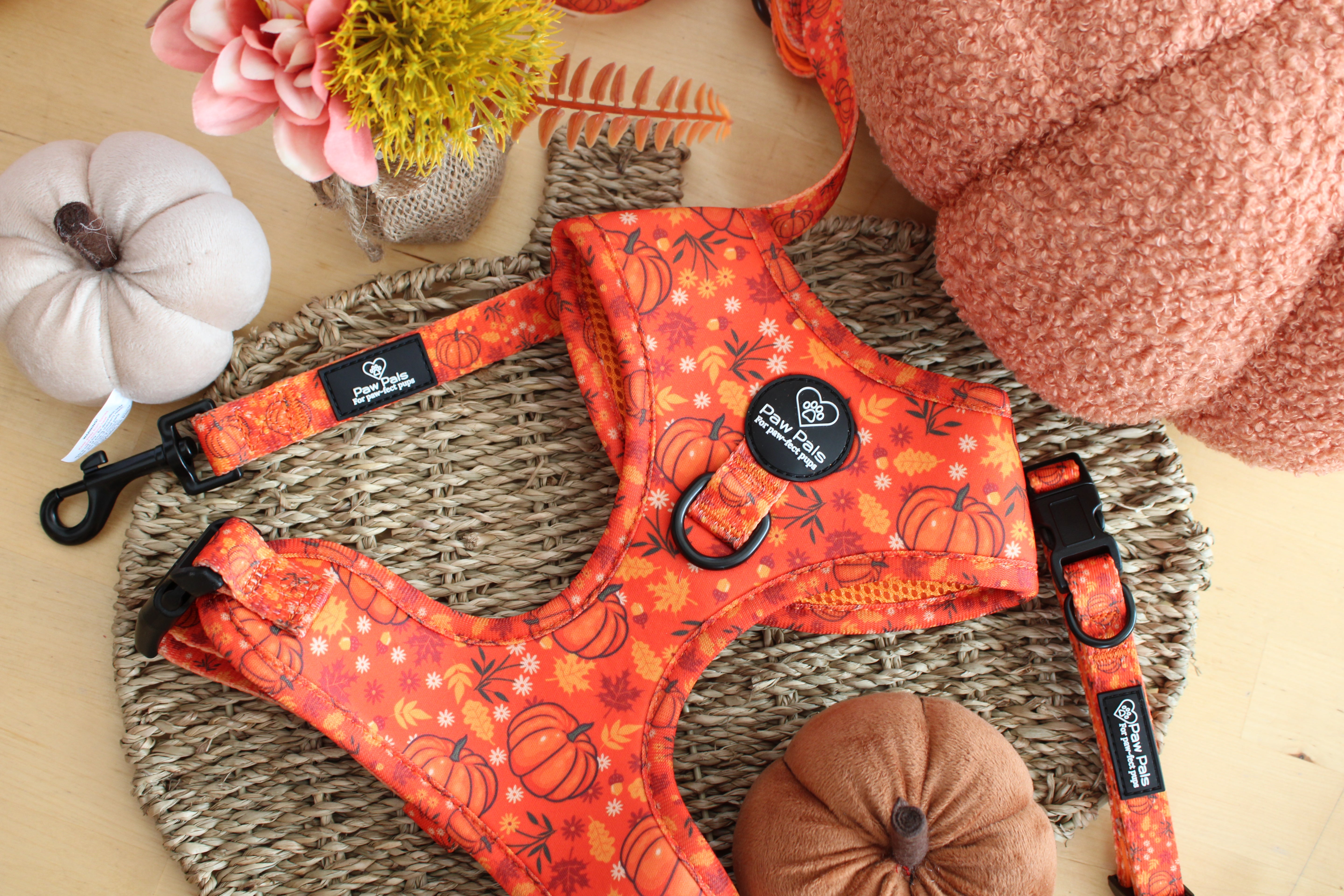 Pumpkin Spice Harness