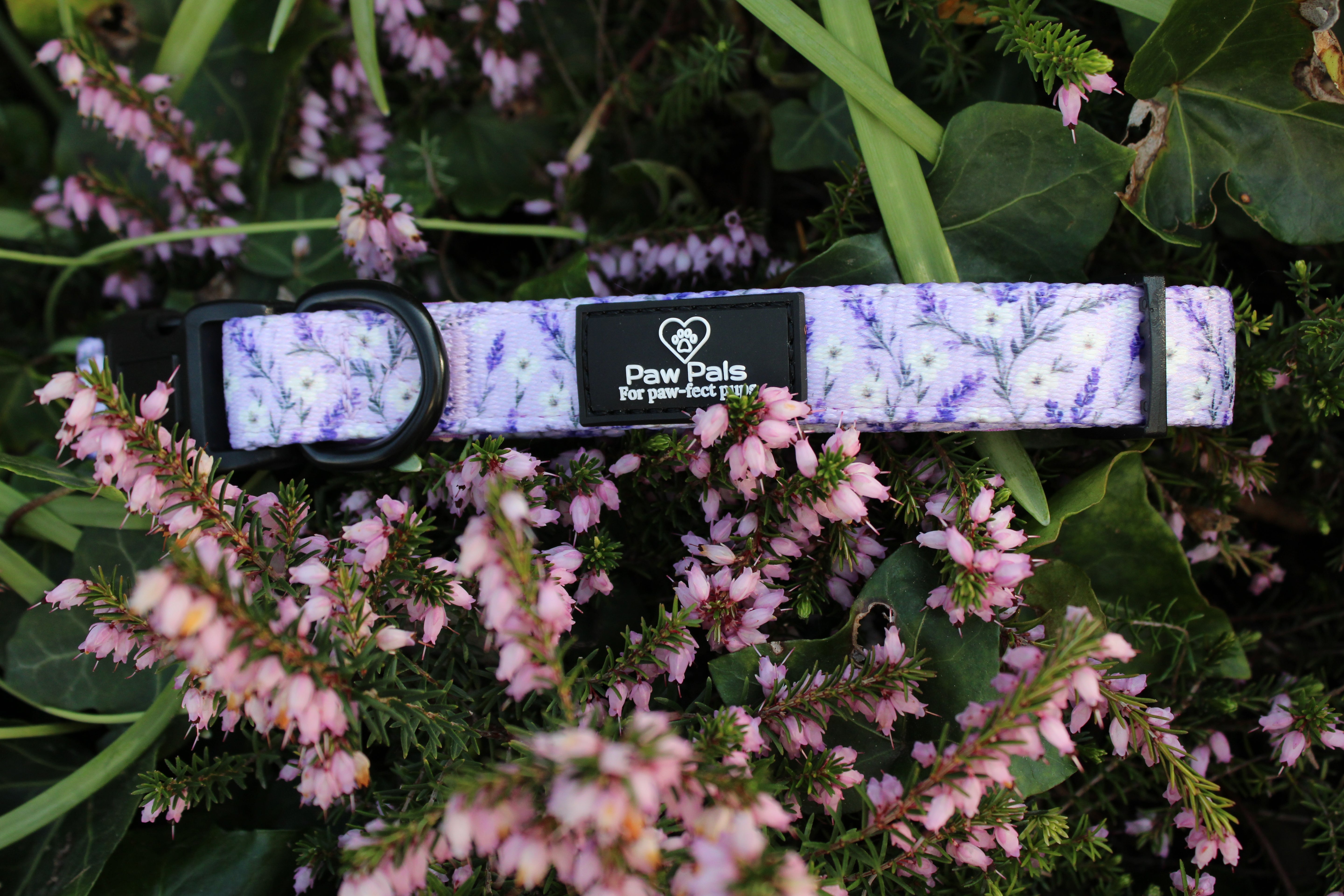 Lavender Fields Collar