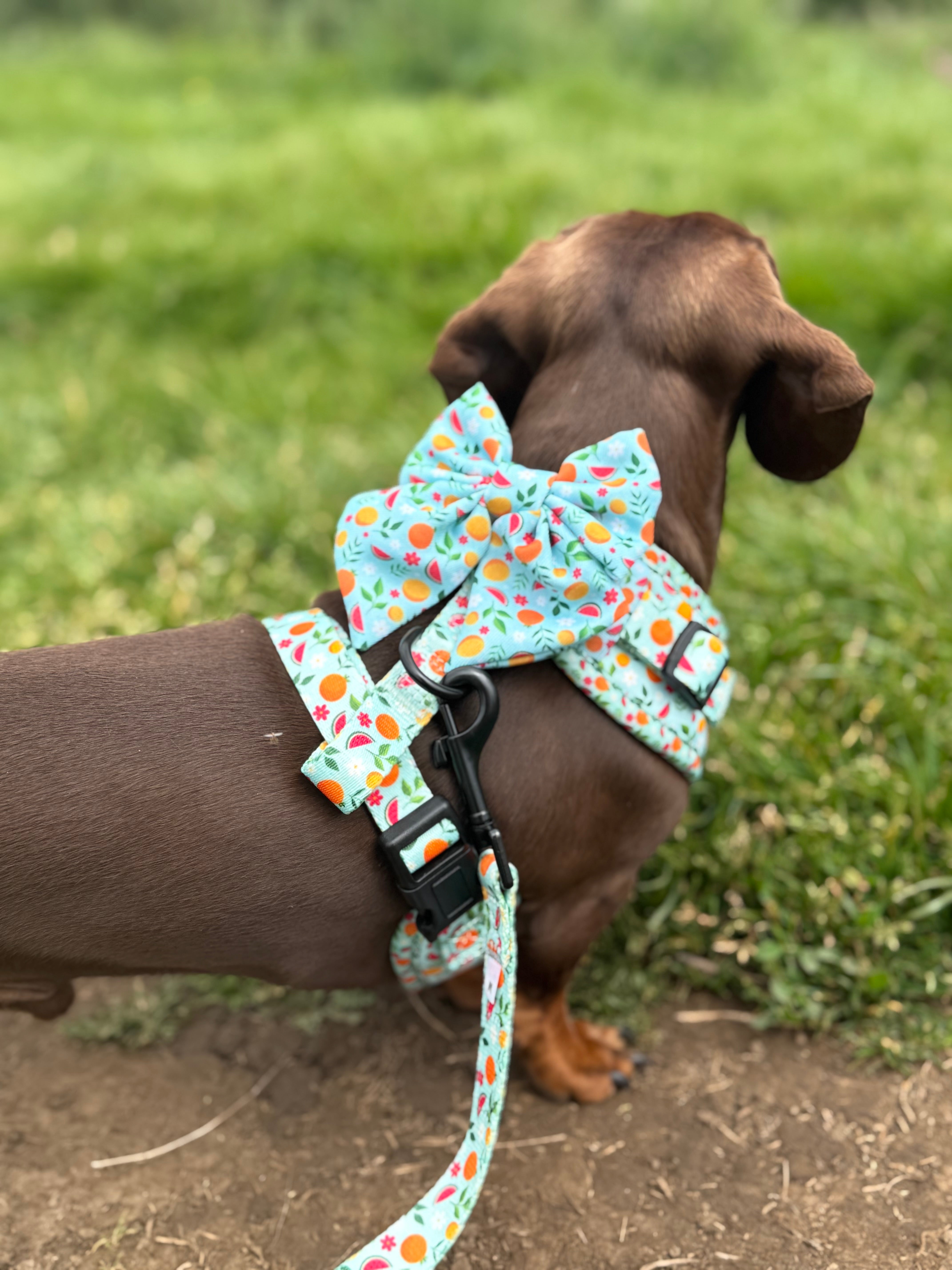 Tutti Frutti Sailor Bow
