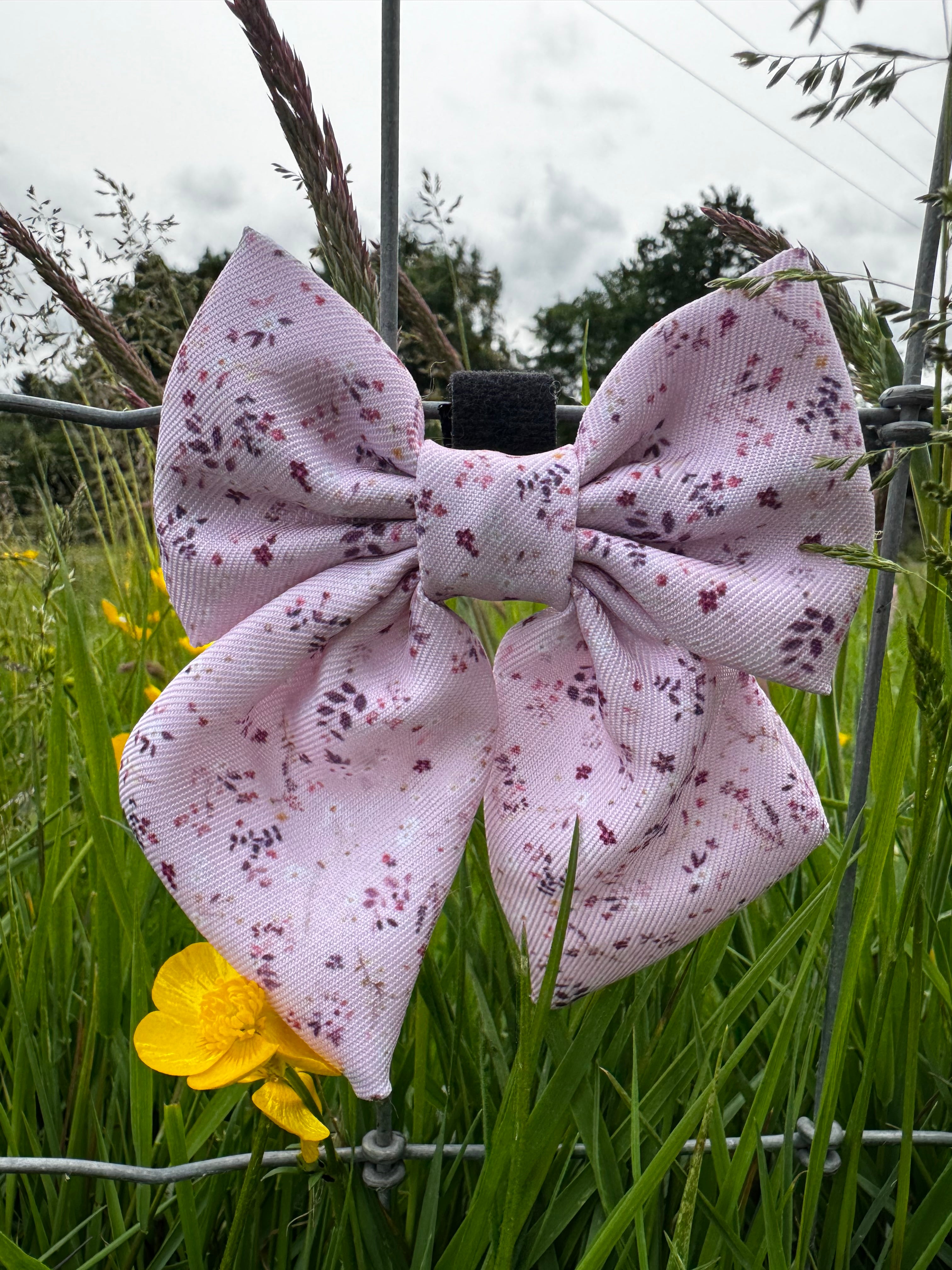 Blush & Bloom Sailor Bow