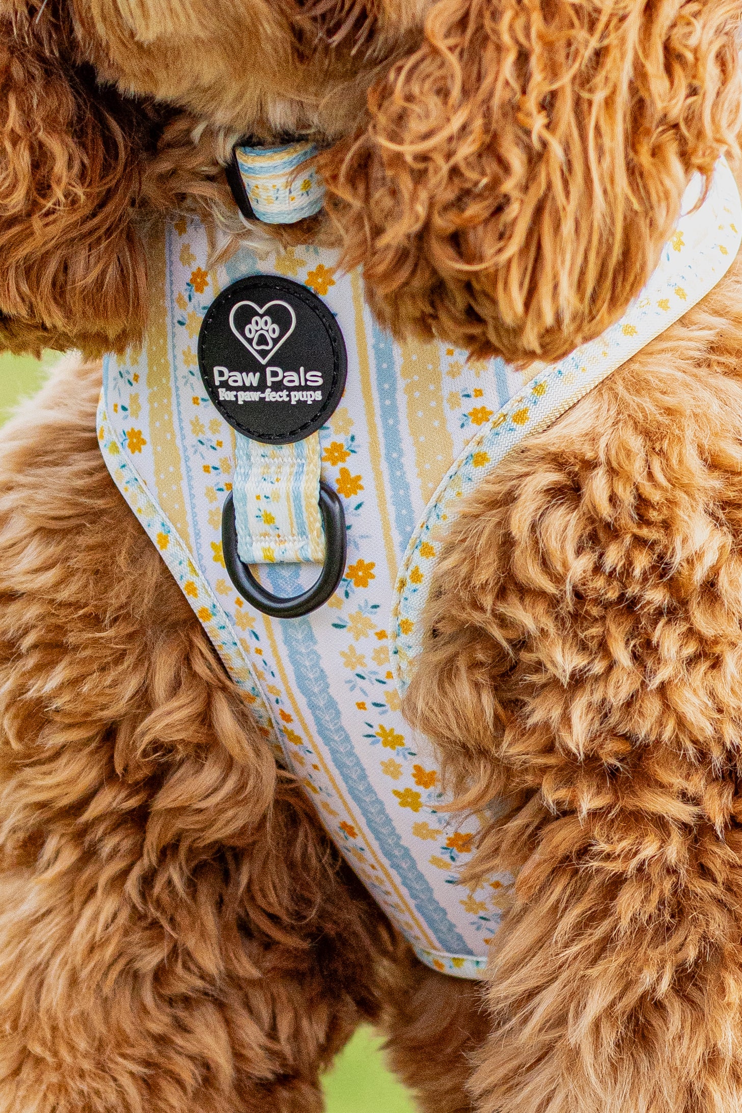 Buttercup Baby Harness