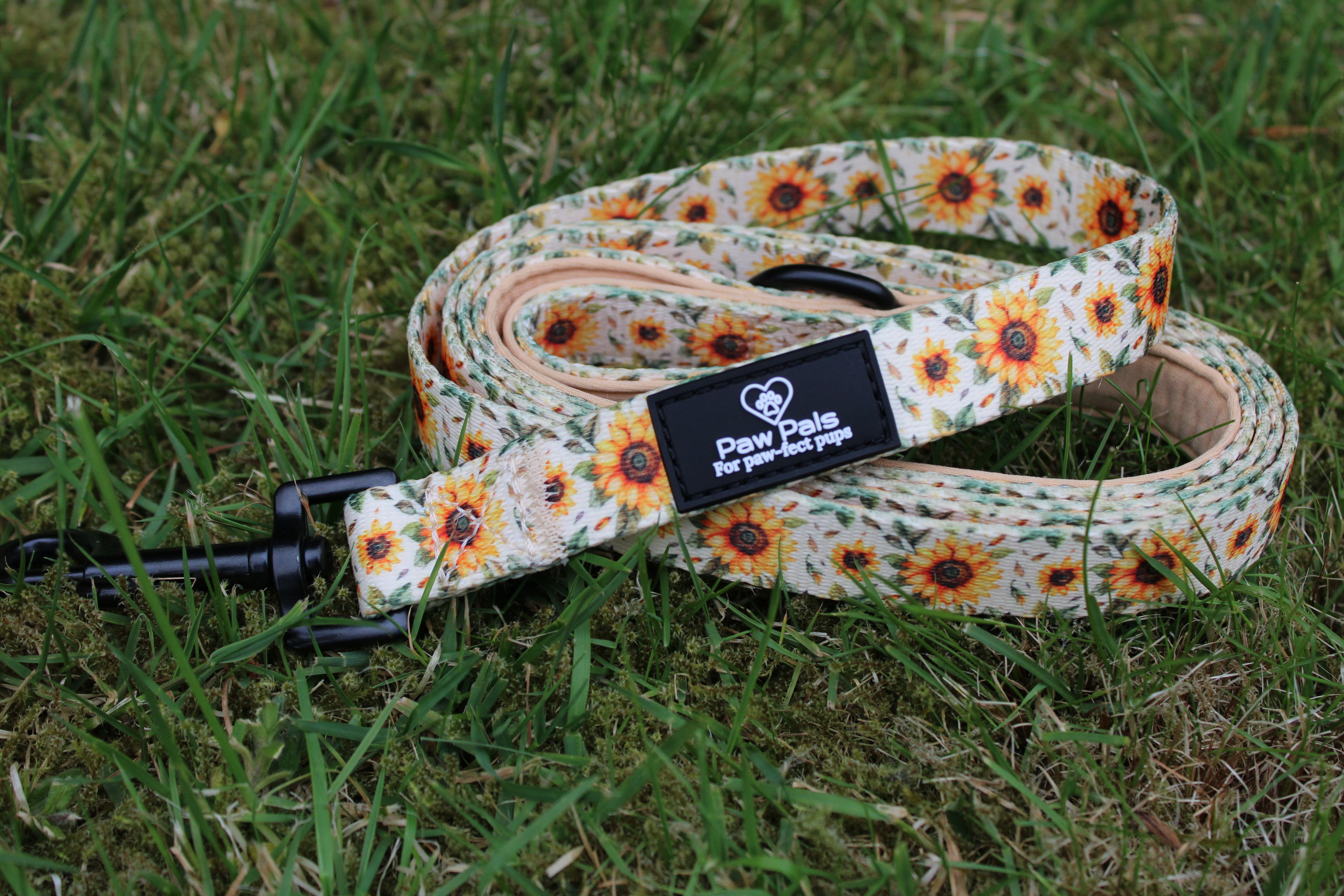 You’re My Sunflower Leash