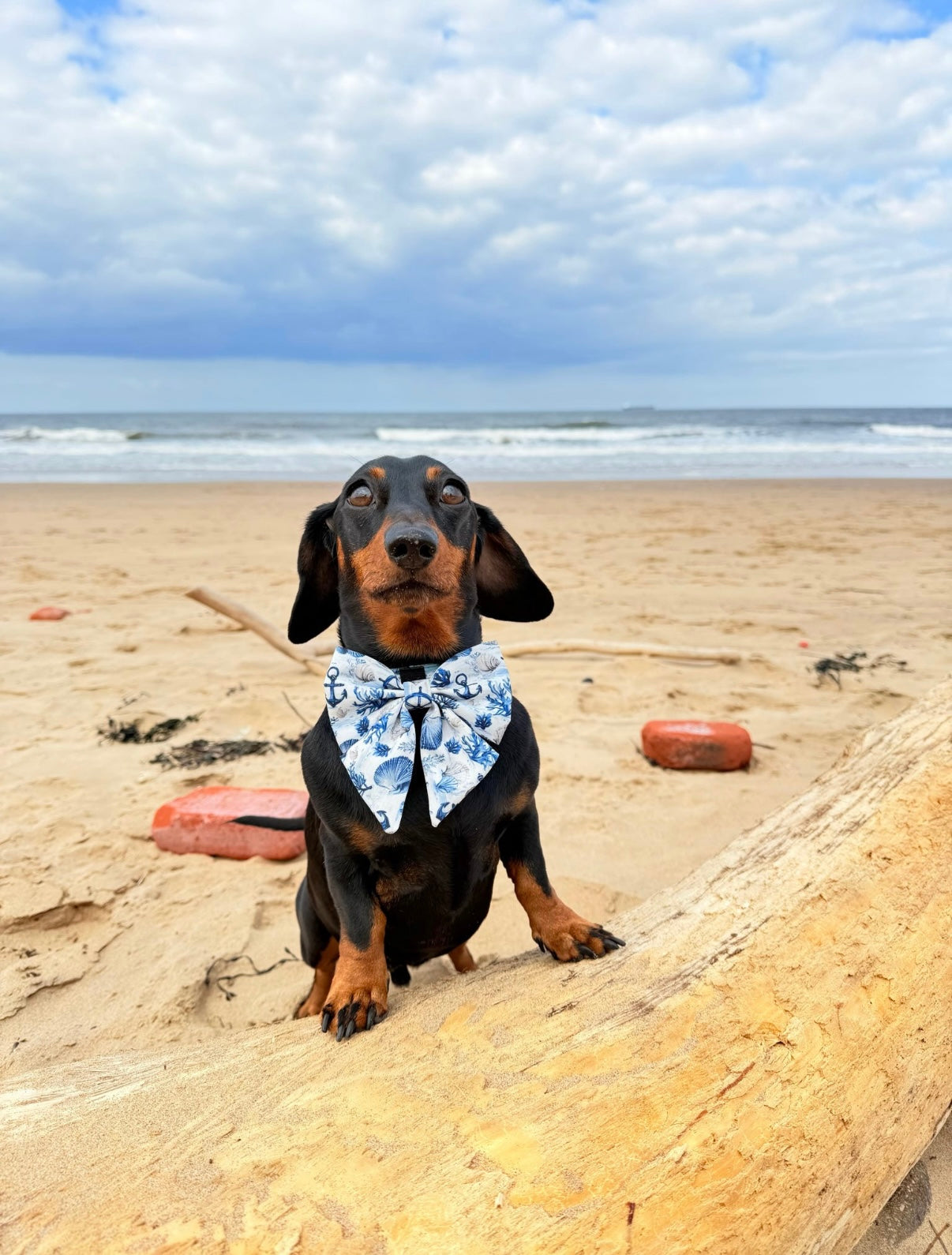 Pups Ahoy Premium Sailor Bow