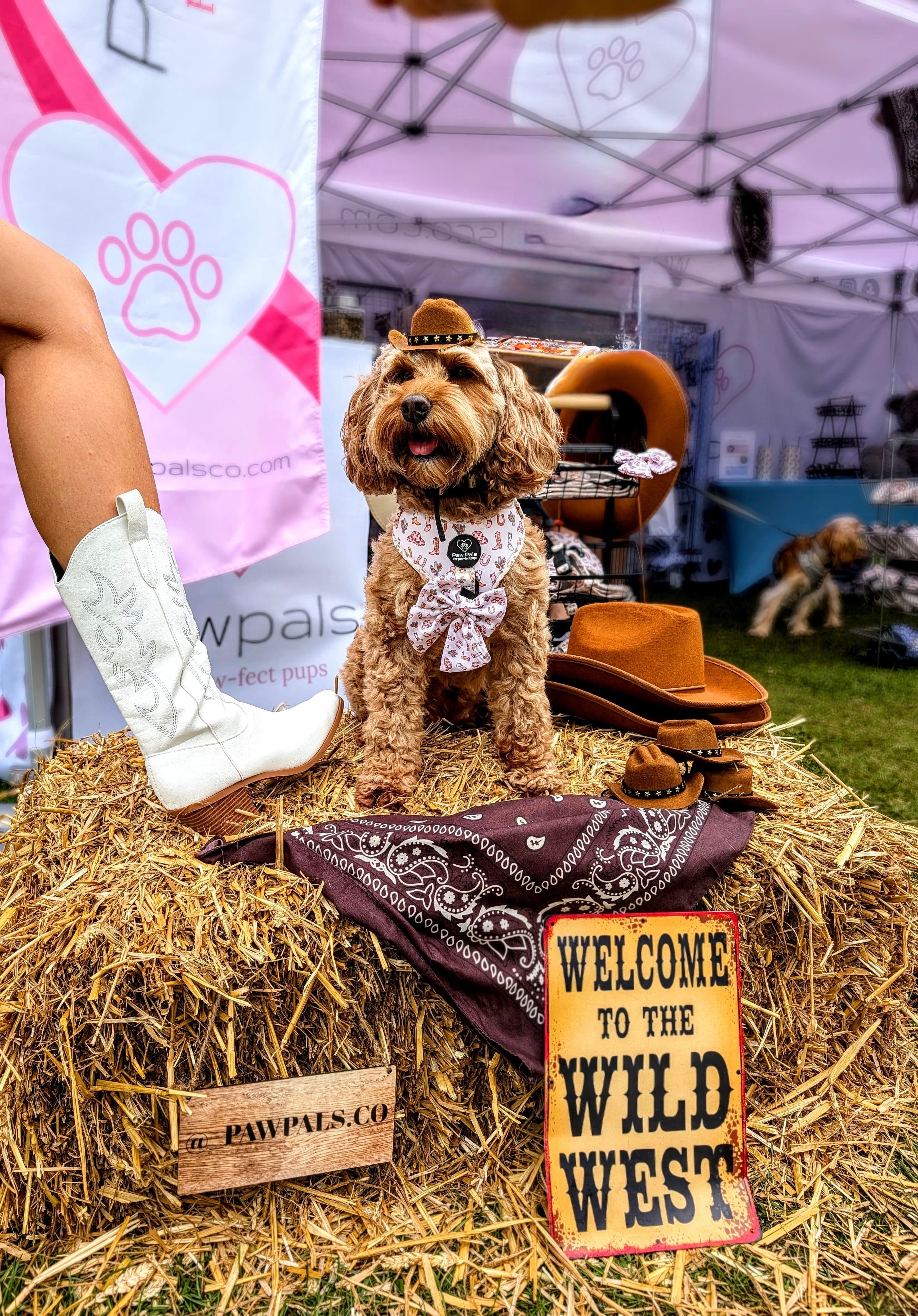 Saddle up Pup Harness