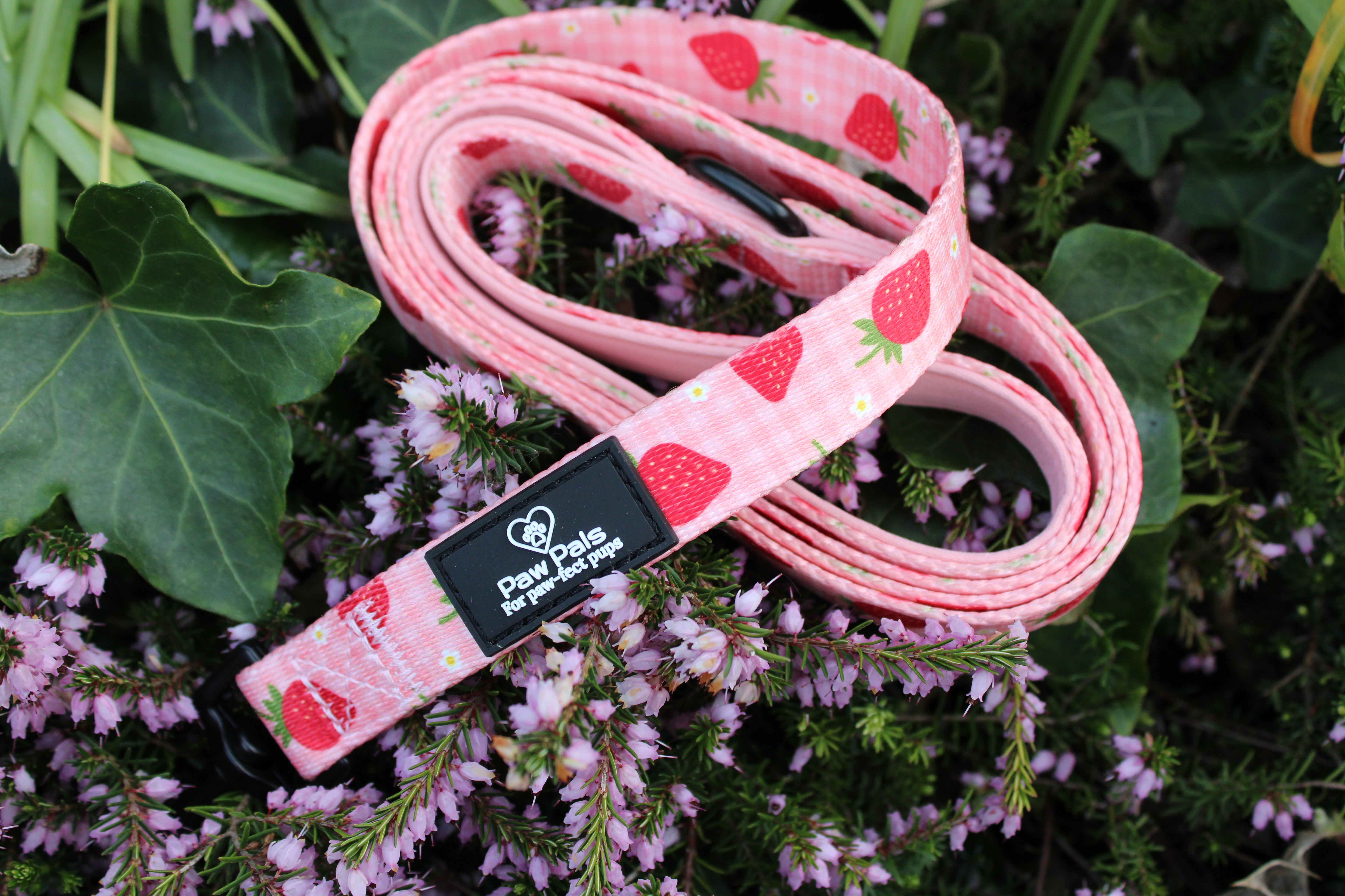 Strawberry Dreams Leash