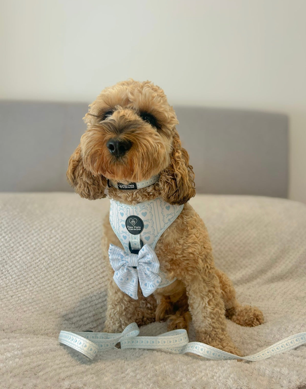 Bow In Love Harness