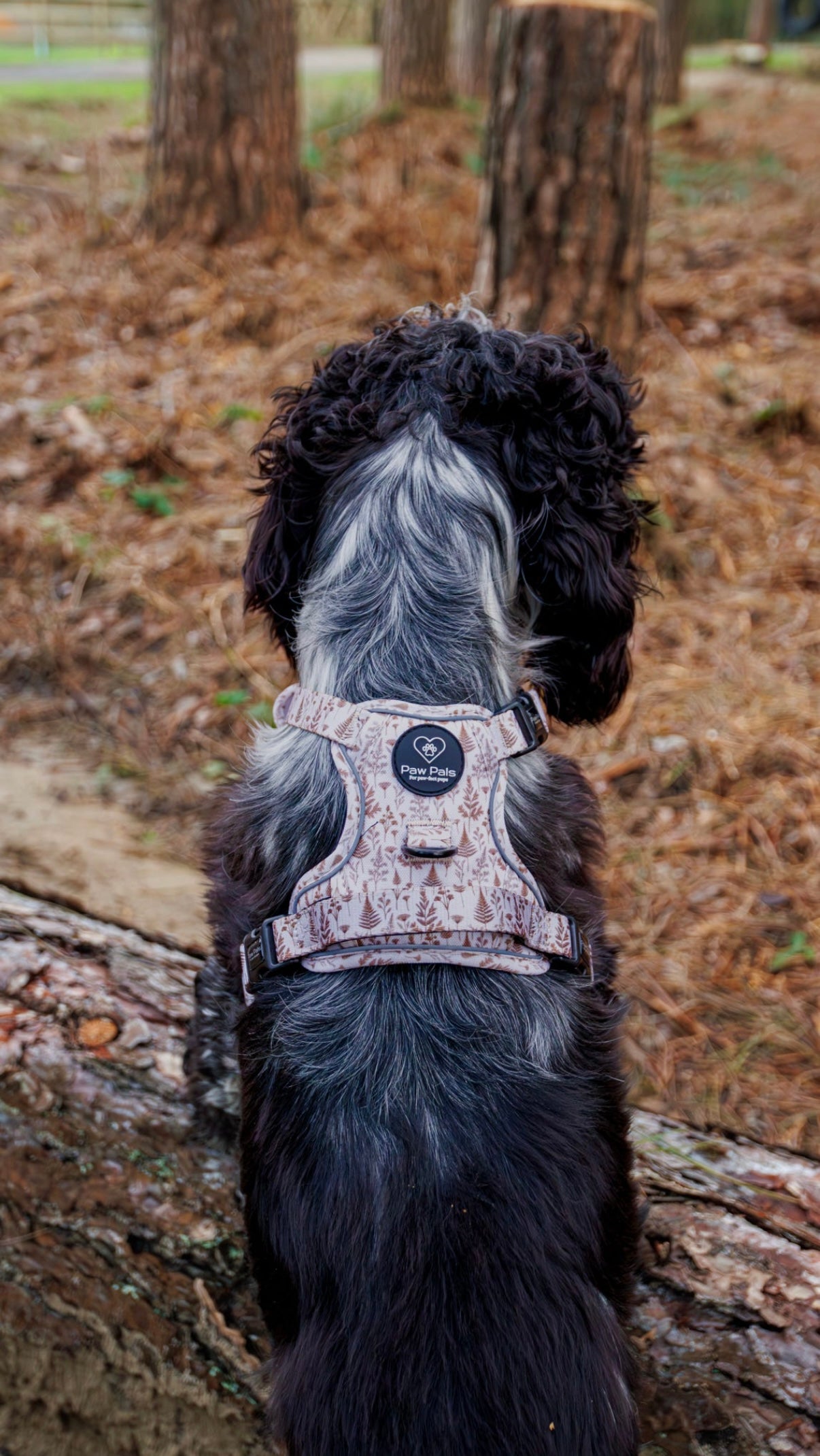 Woodland Willows PawpalsPro Harness