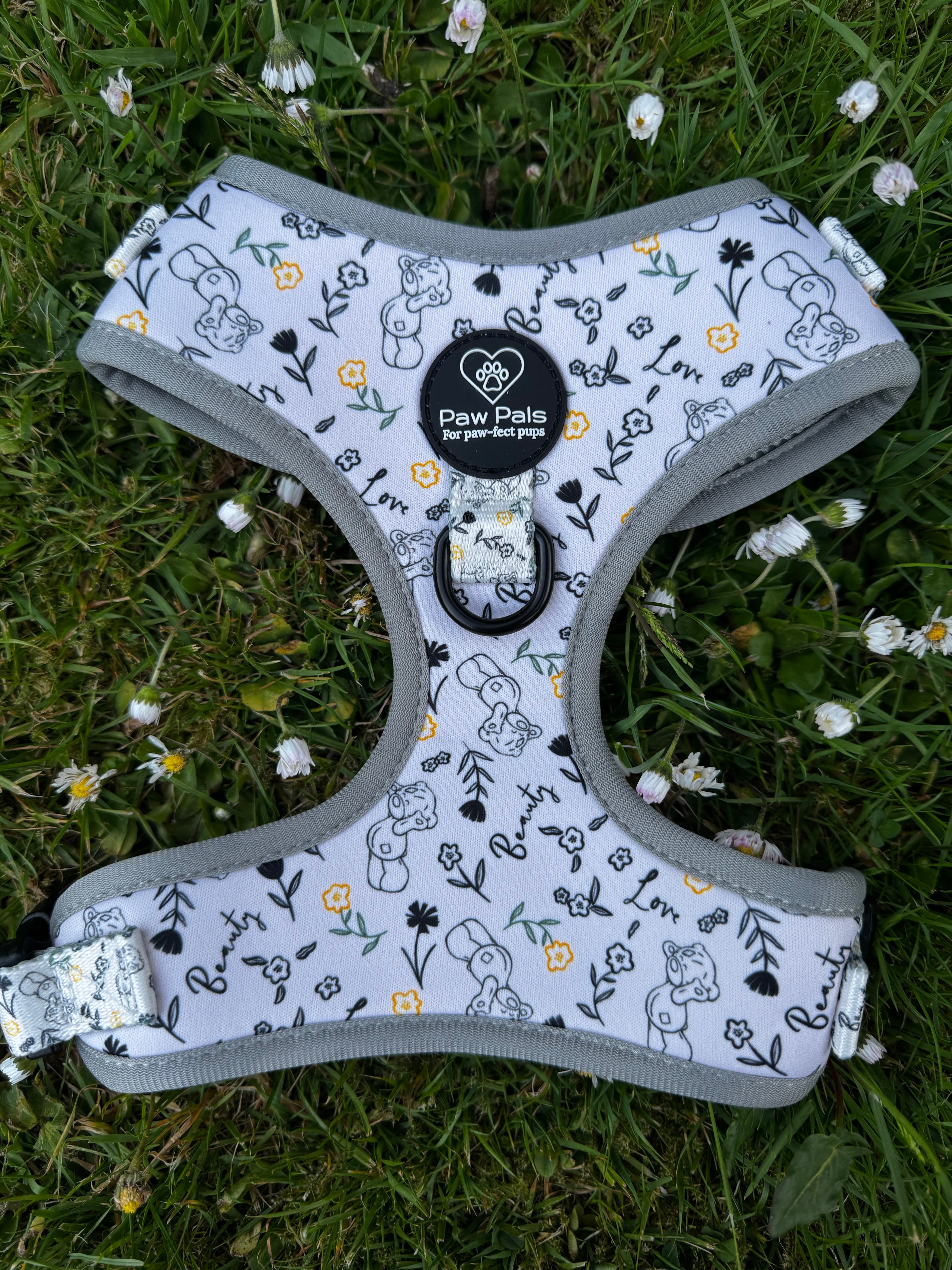 Tatty Teddy Springs Harness