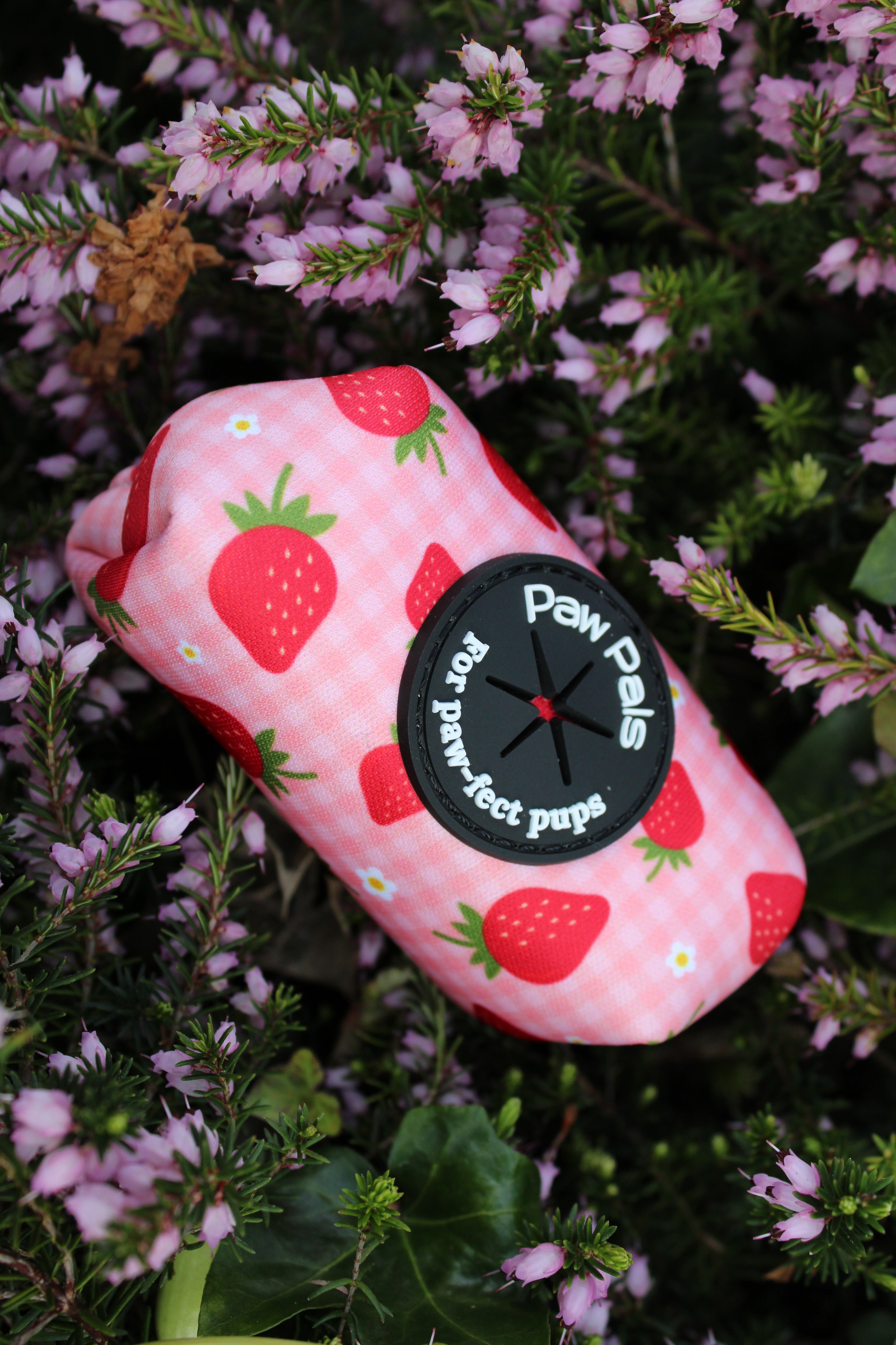 Strawberry Dreams Poop Bag Holder