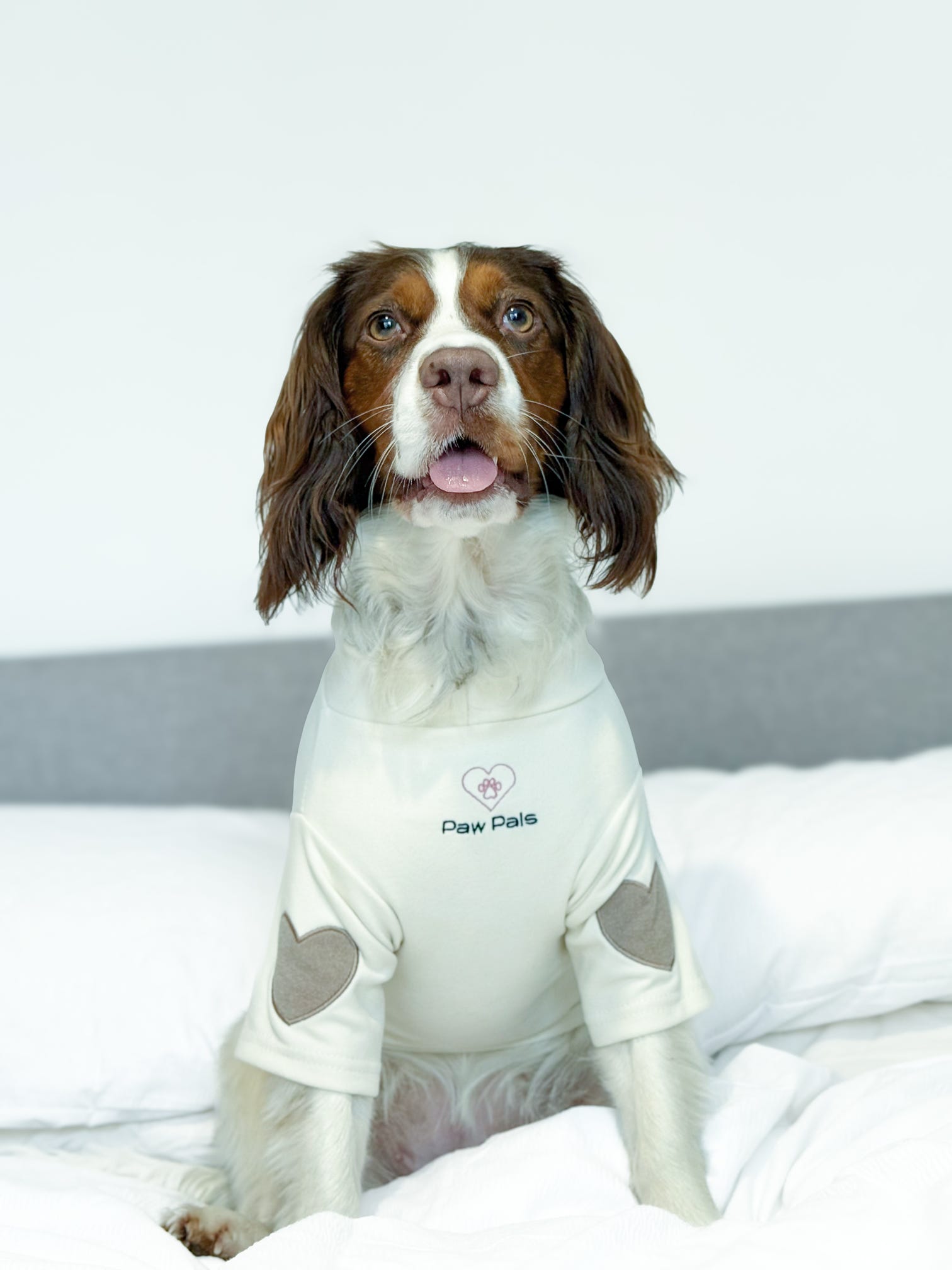 Puppy Love Cream Jumper