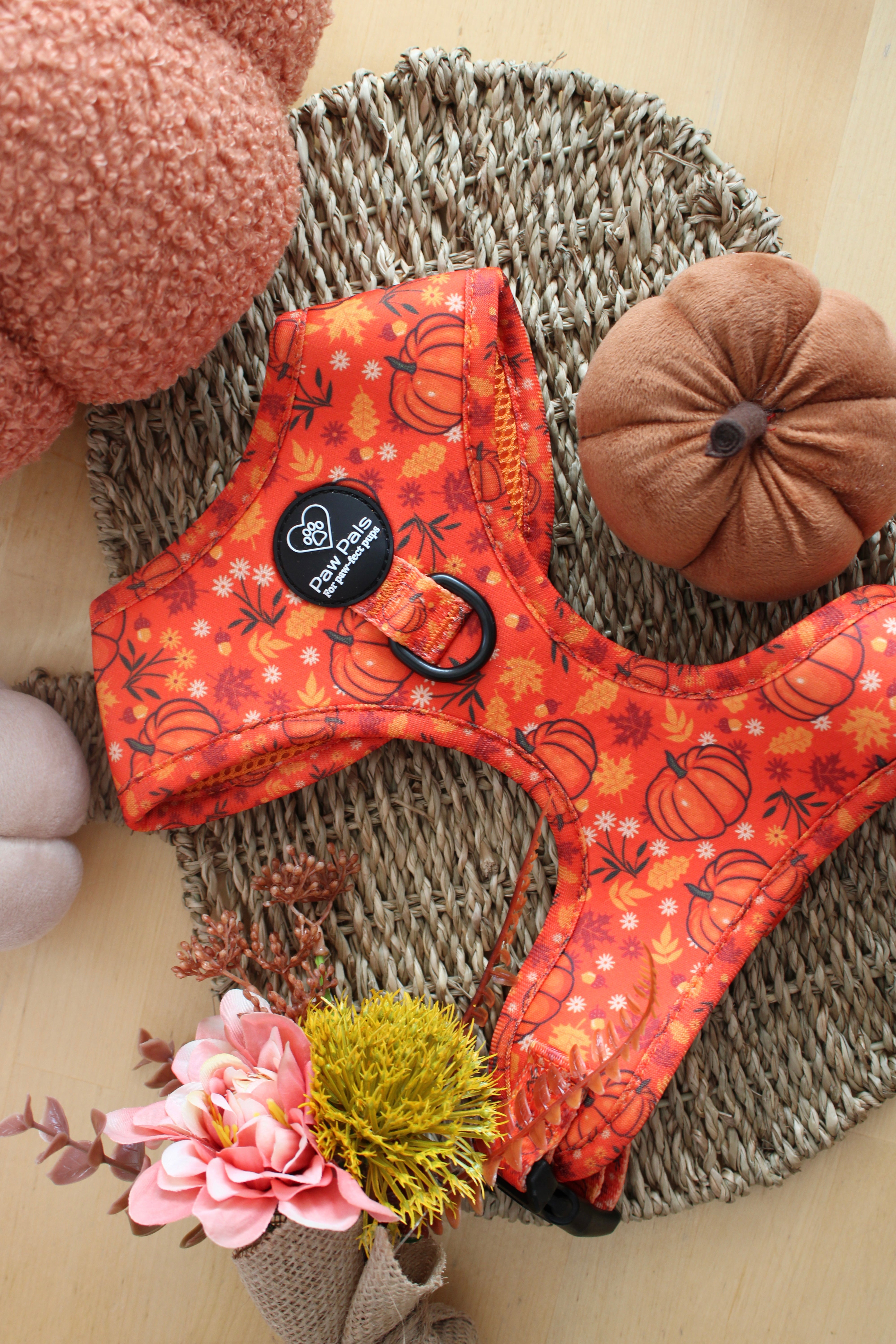 Pumpkin Spice Harness