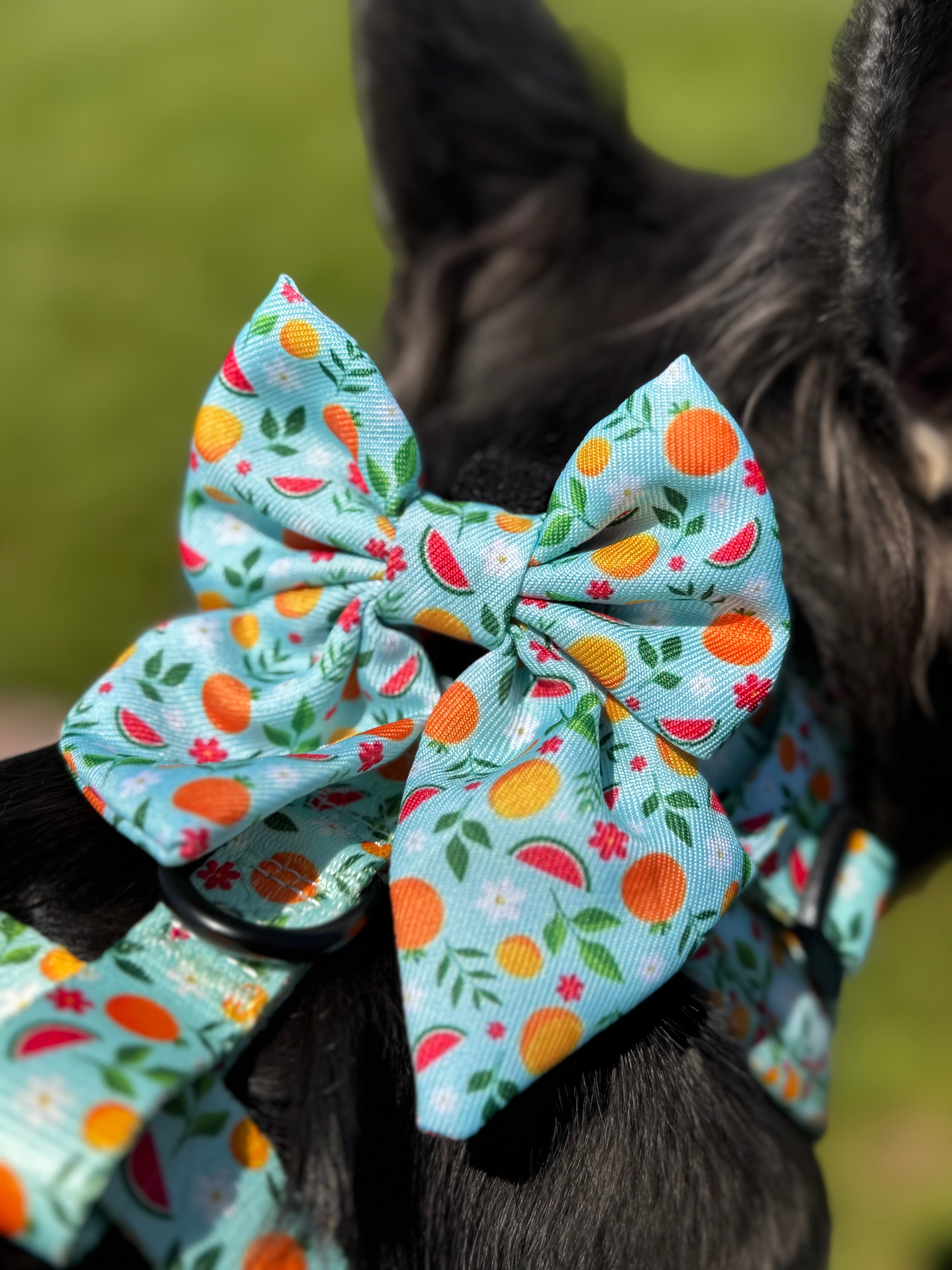 Tutti Frutti Sailor Bow