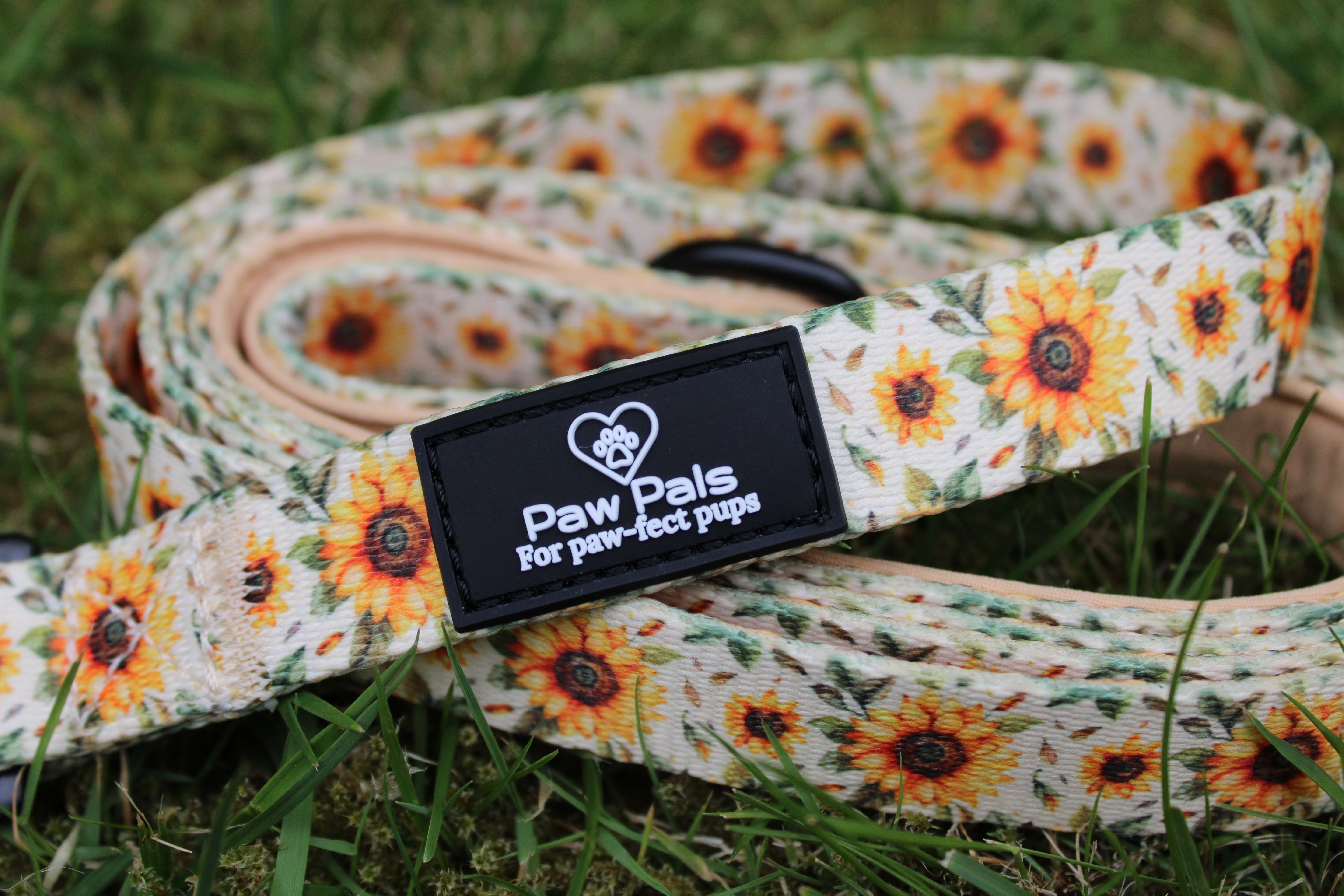 You’re My Sunflower Leash