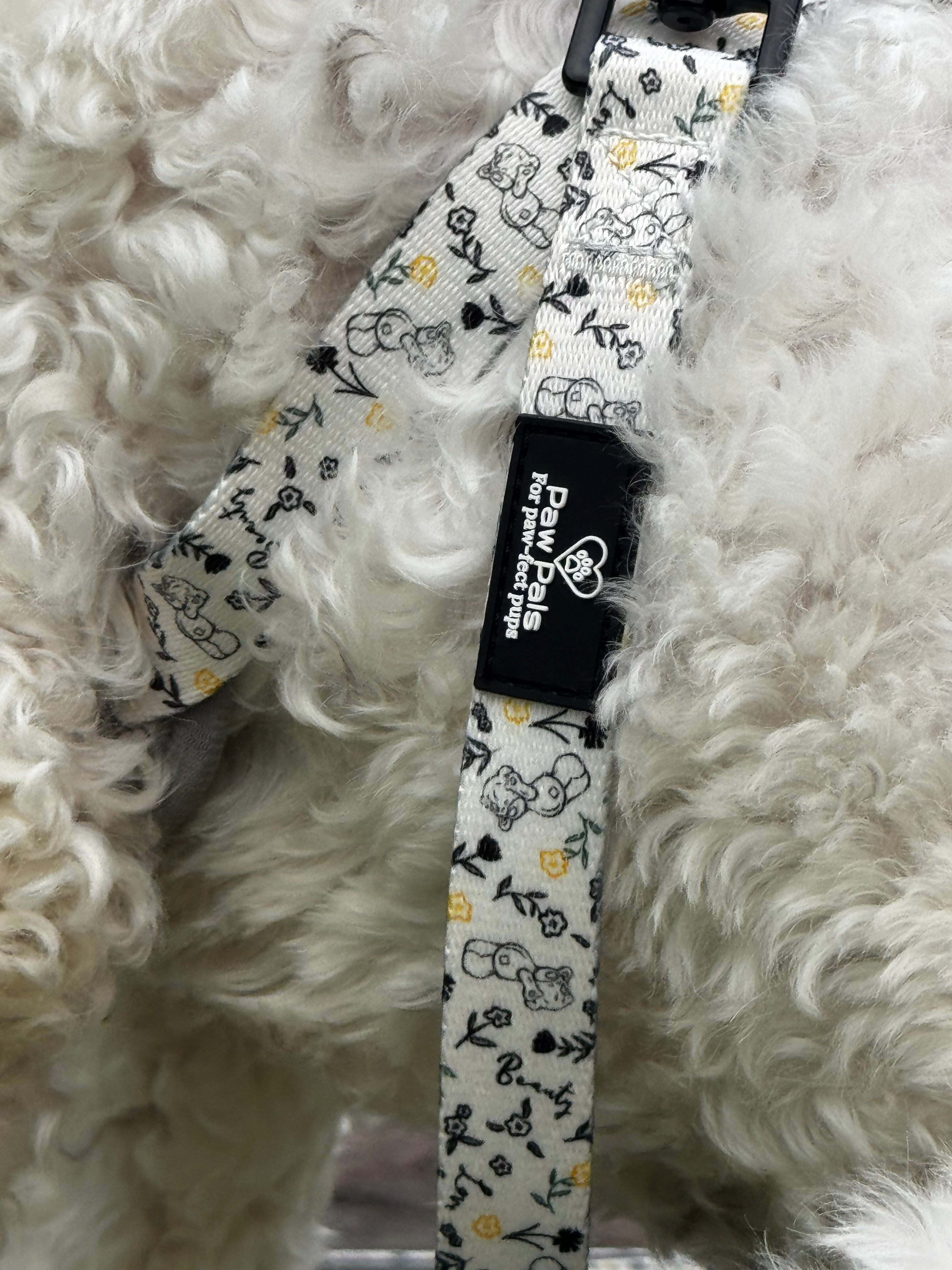 Tatty Teddy Springs Leash