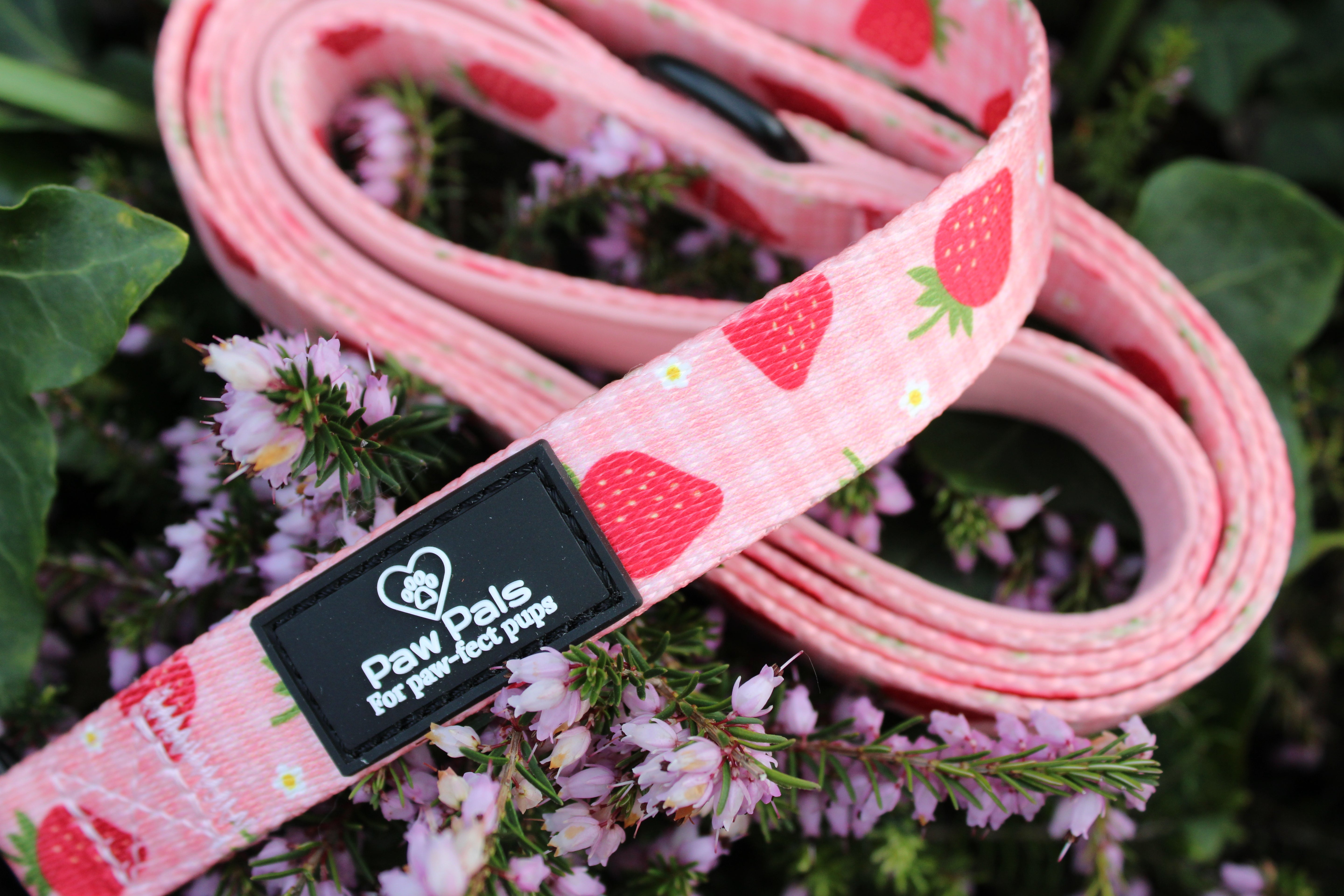Strawberry Dreams Leash