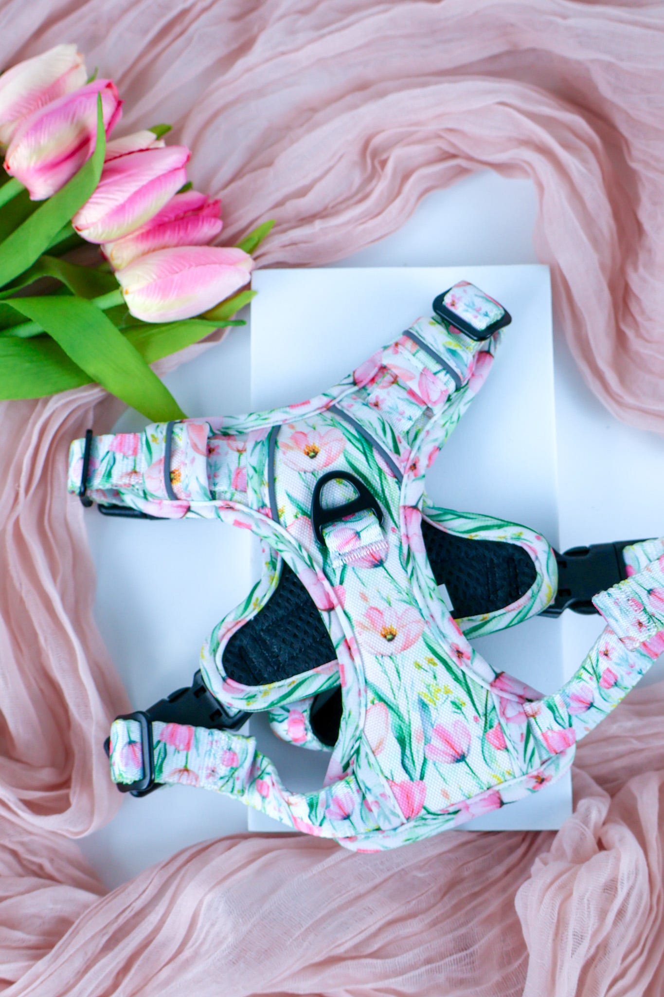 Tulip Trails PawpalsPro