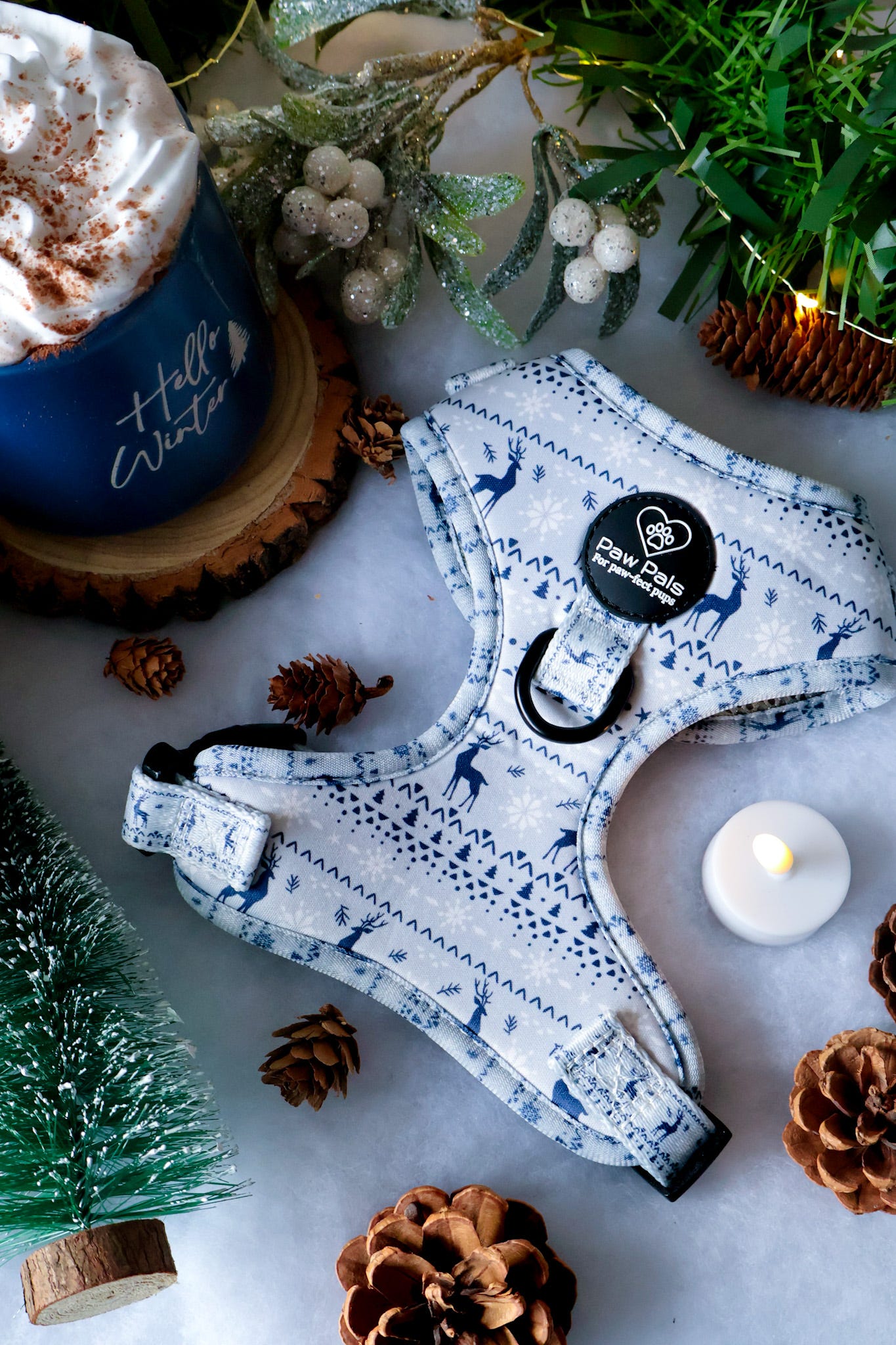 Winter Wonderland Harness