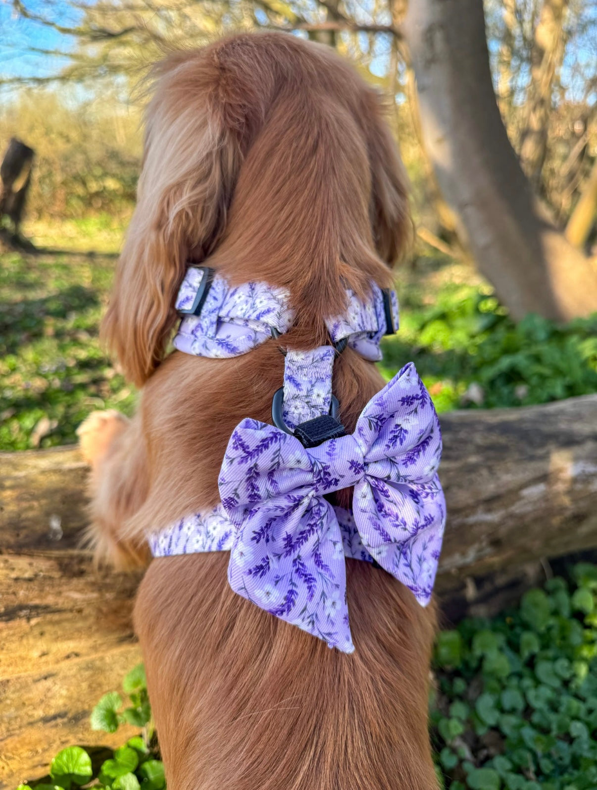 Lavender Fields Bow