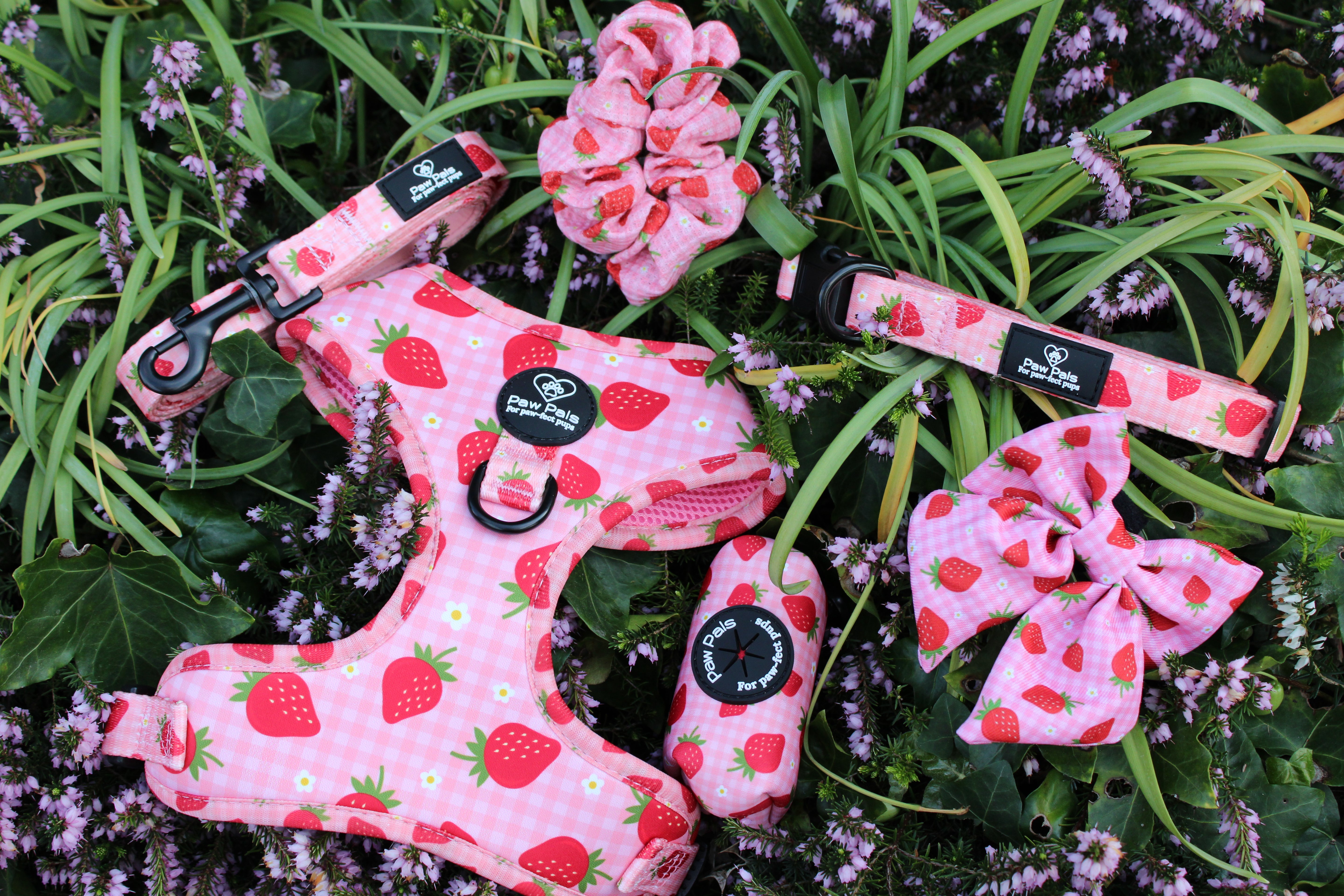 Strawberry Dreams Harness