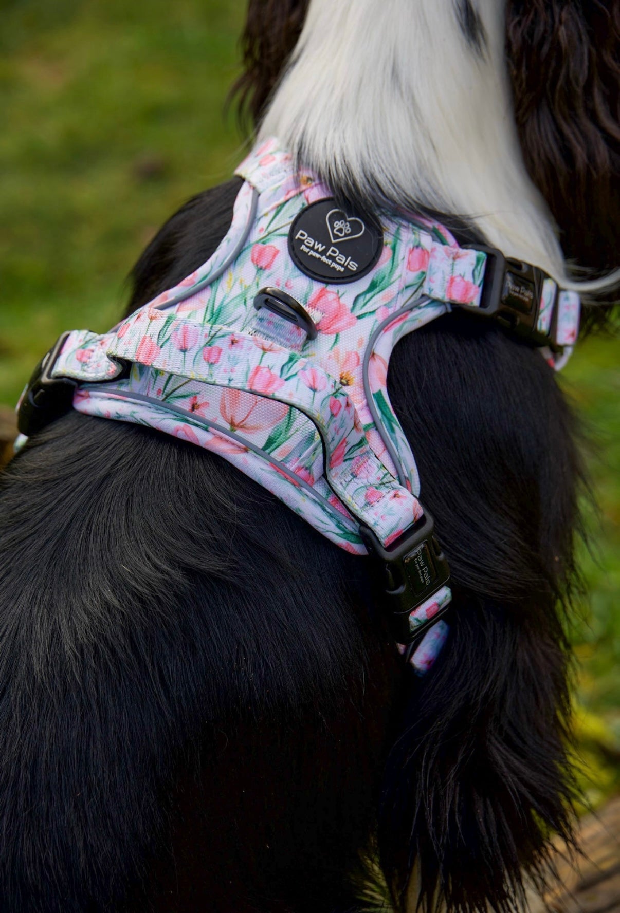 Tulip Trails PawpalsPro