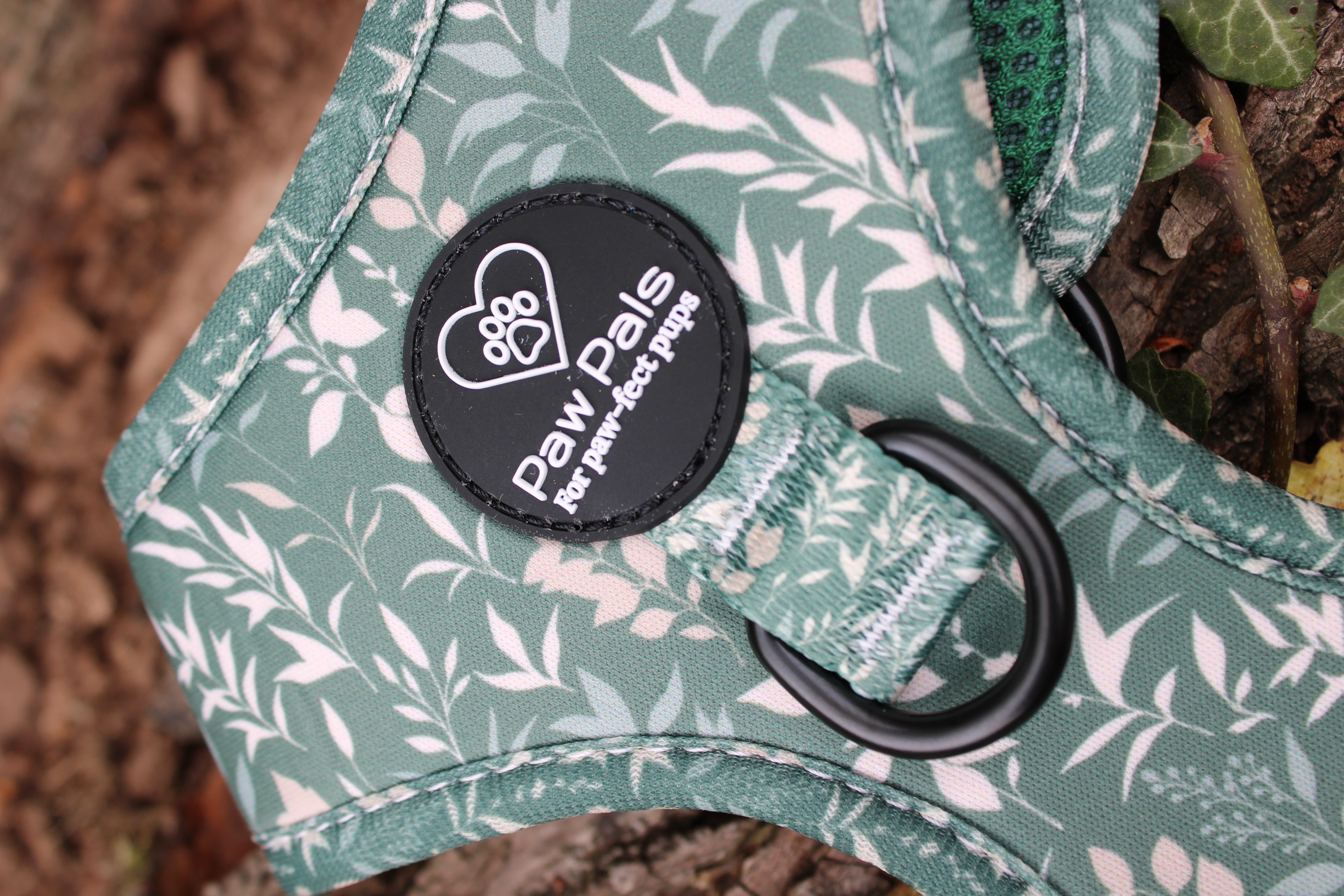 Spring Leaves D-Ring Harness