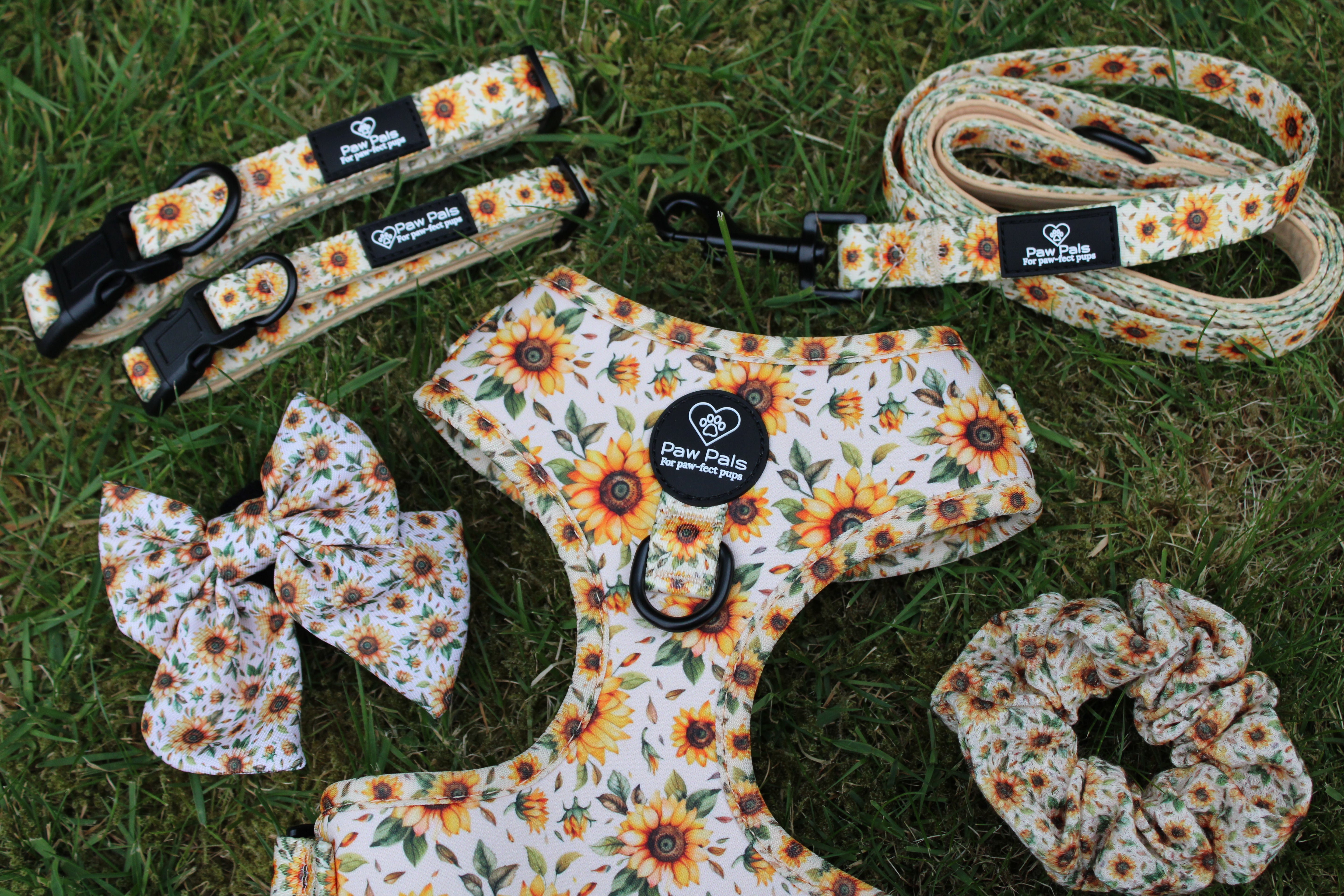 You’re My Sunflower Collar