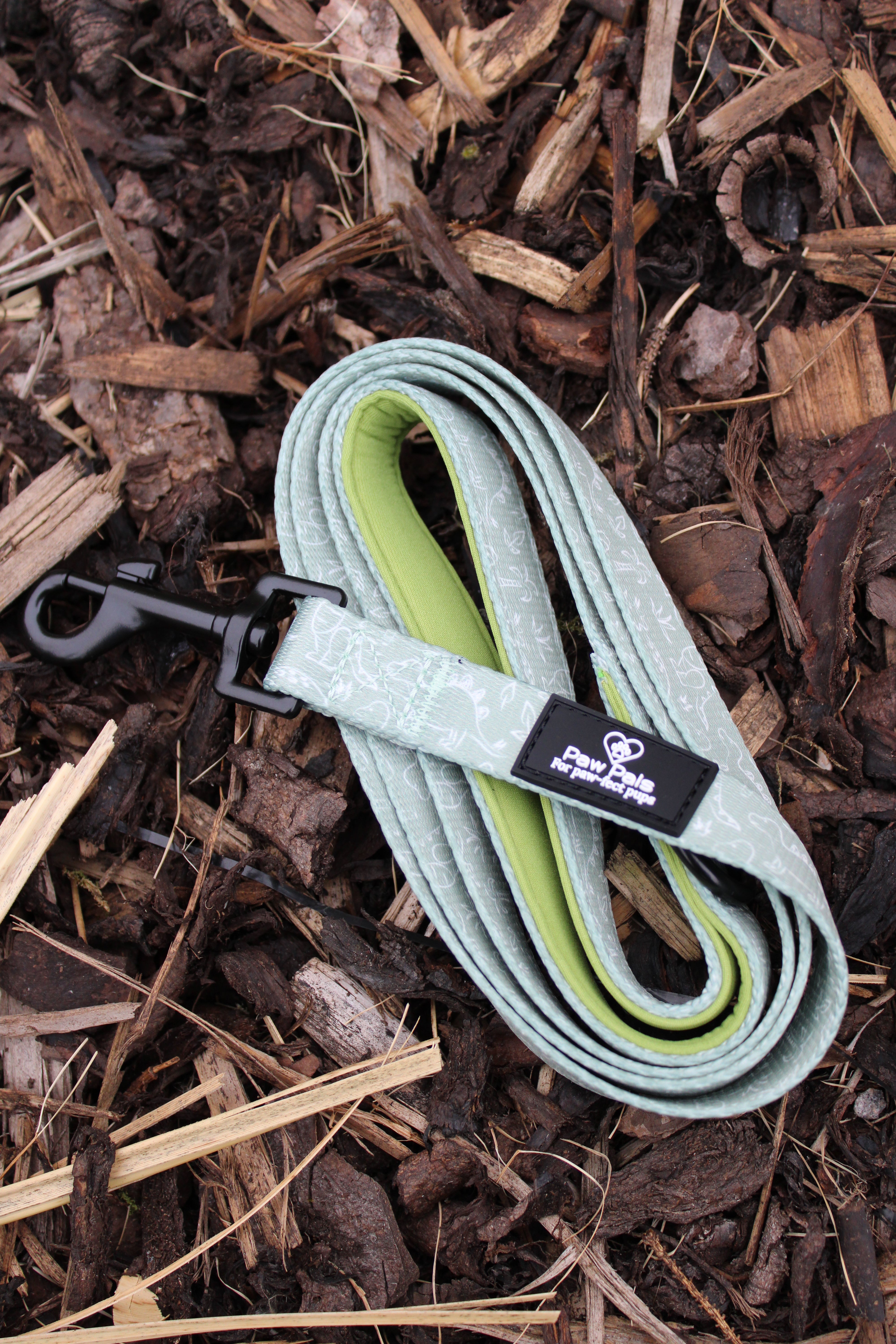 Dino Paws Leash
